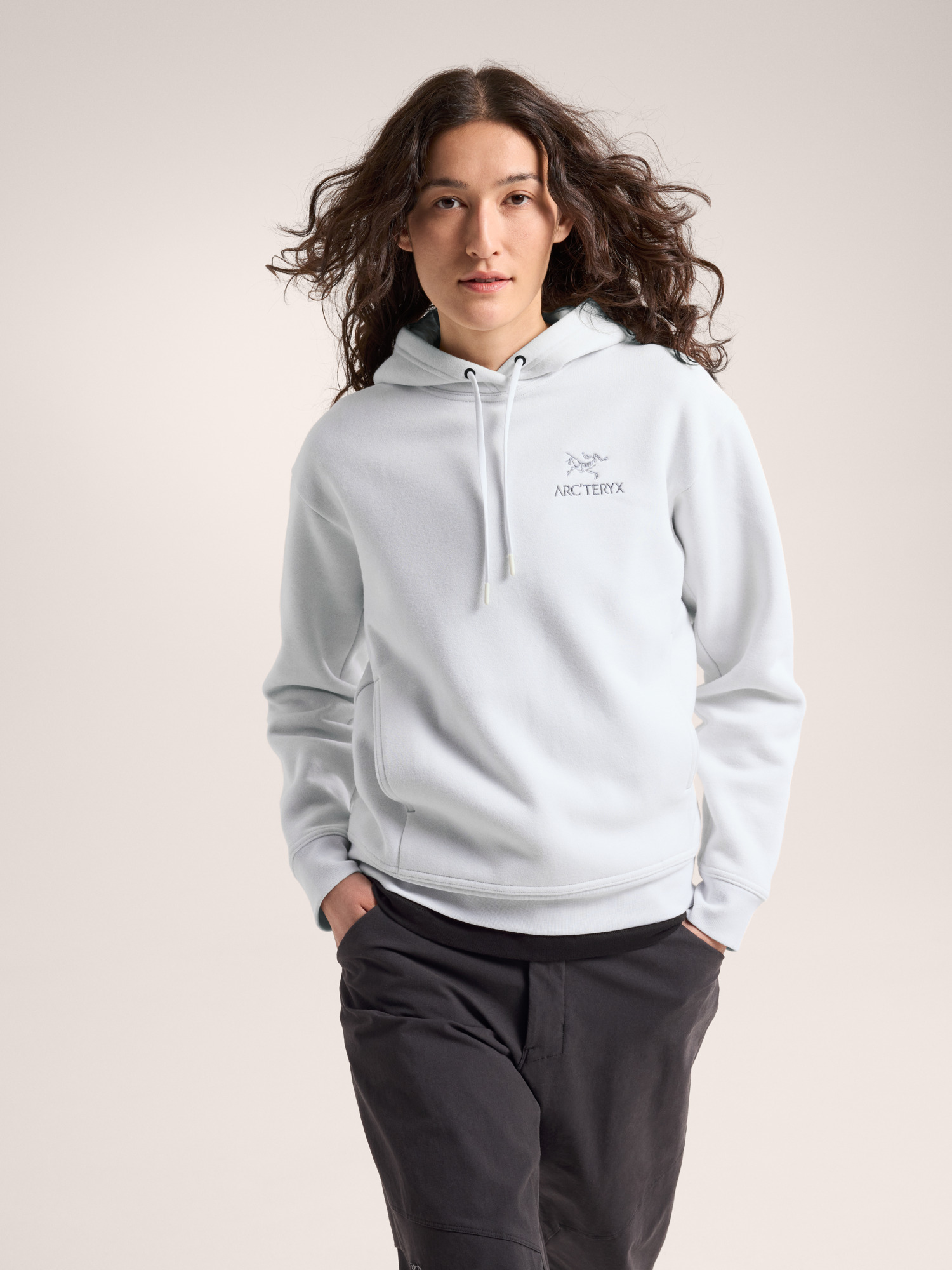 アークテリクス Emblem Fleece Hoody Arcteryx Mens Bird Emblem Full Zip Hoody Distortion