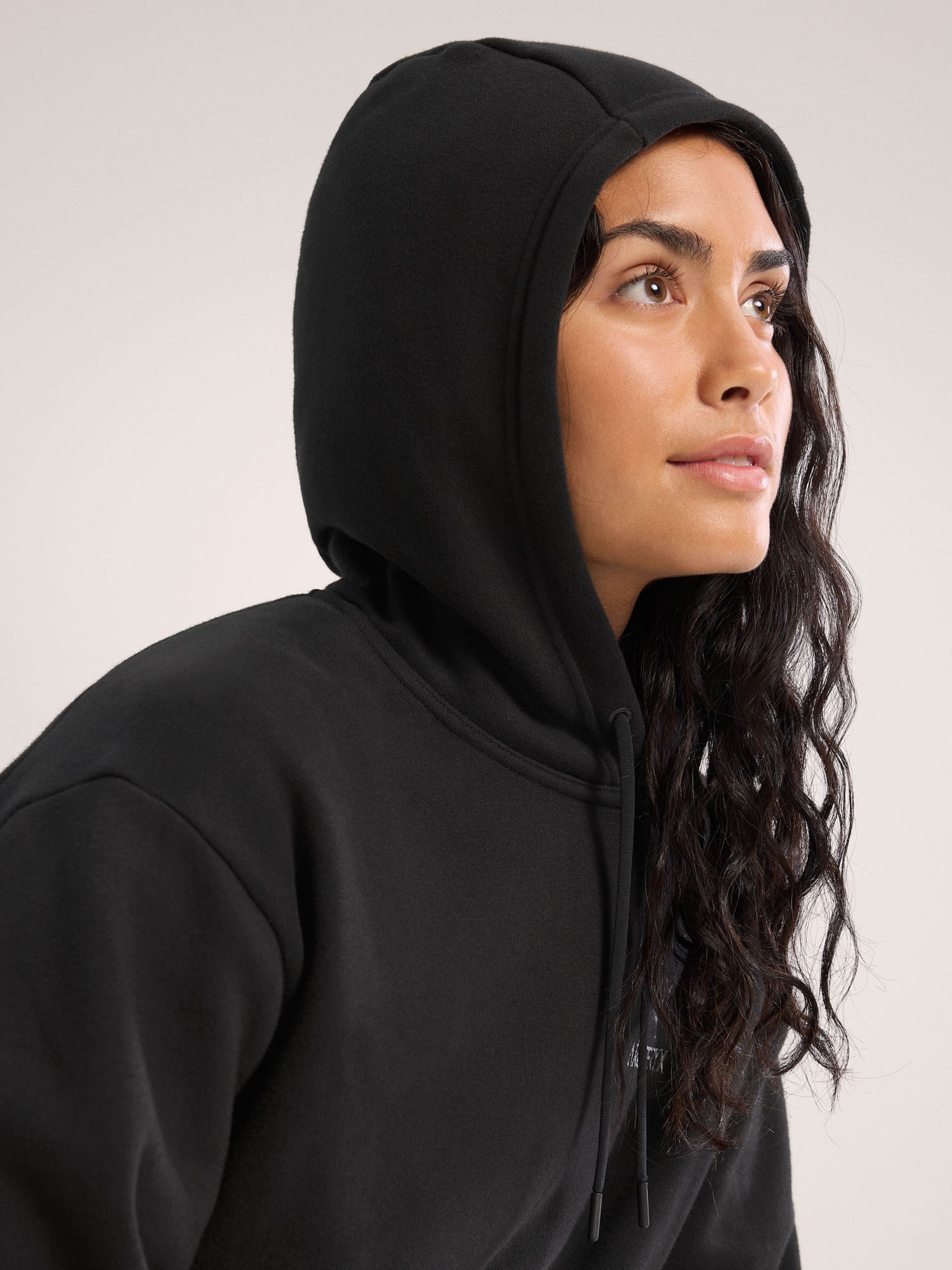 アークテリクス Emblem Fleece Hoody Emblem Fleece Hoody Women's | Arc'teryx Canada