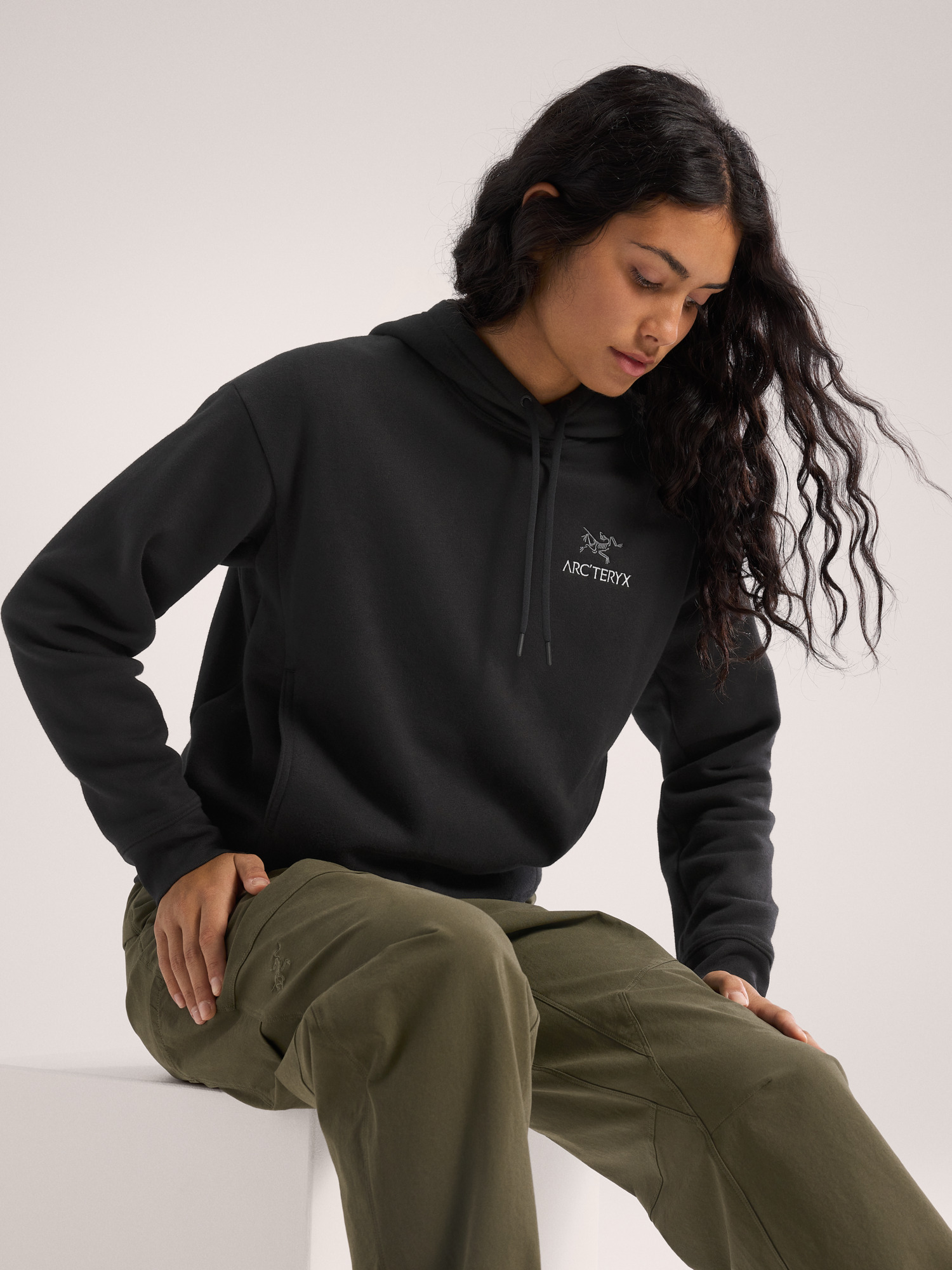 アークテリクス Emblem Fleece Hoody Arc'teryx / Emblem Fleece Hoody Men's