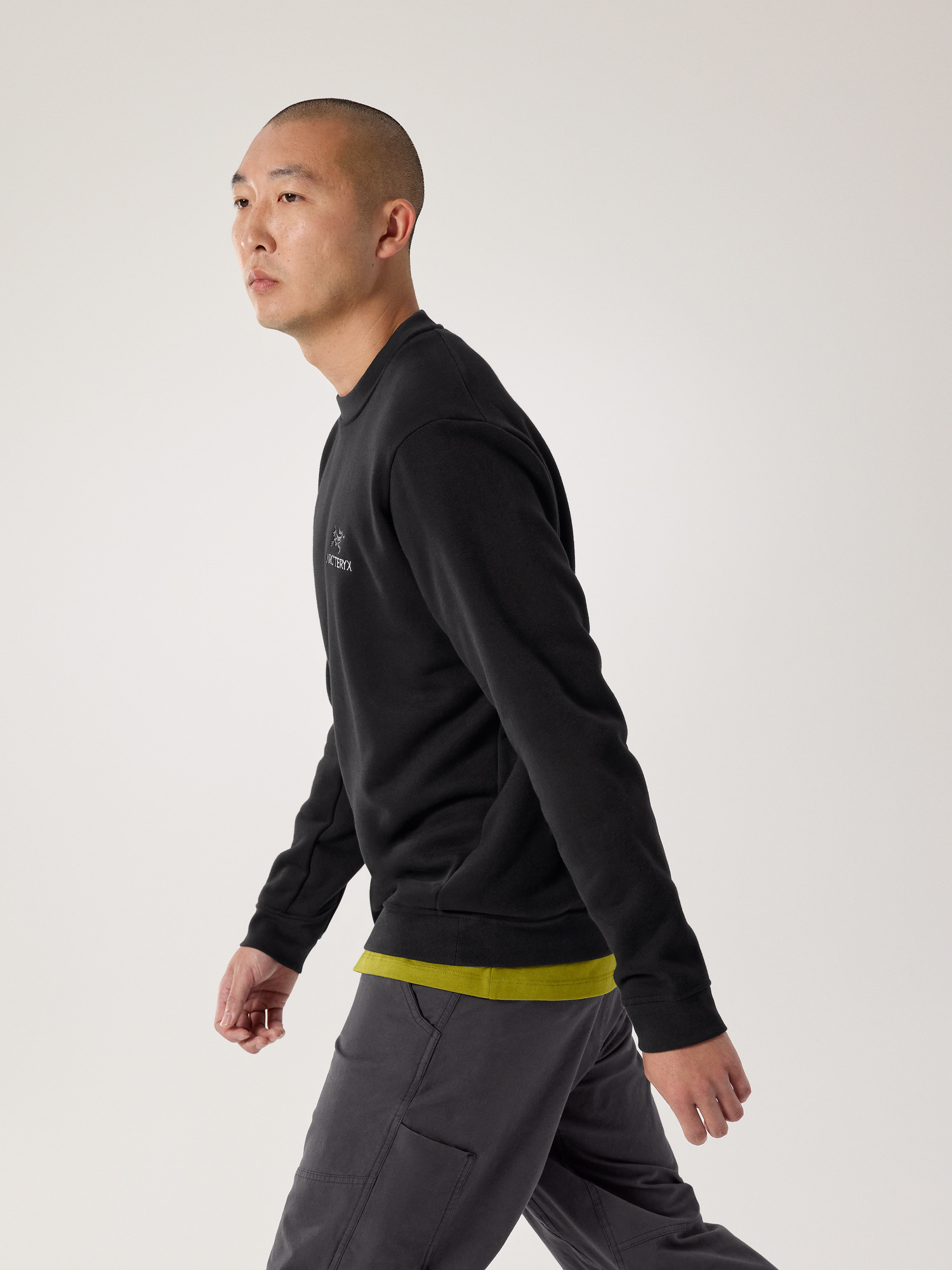 Emblem Fleece Crew Neck Pullover Men's | Arc'teryx United States