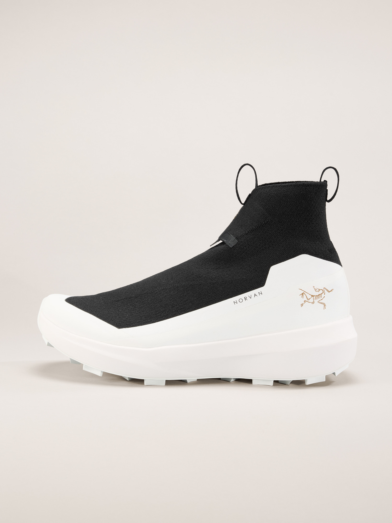 Norvan 4 Nivalis Shoe Men