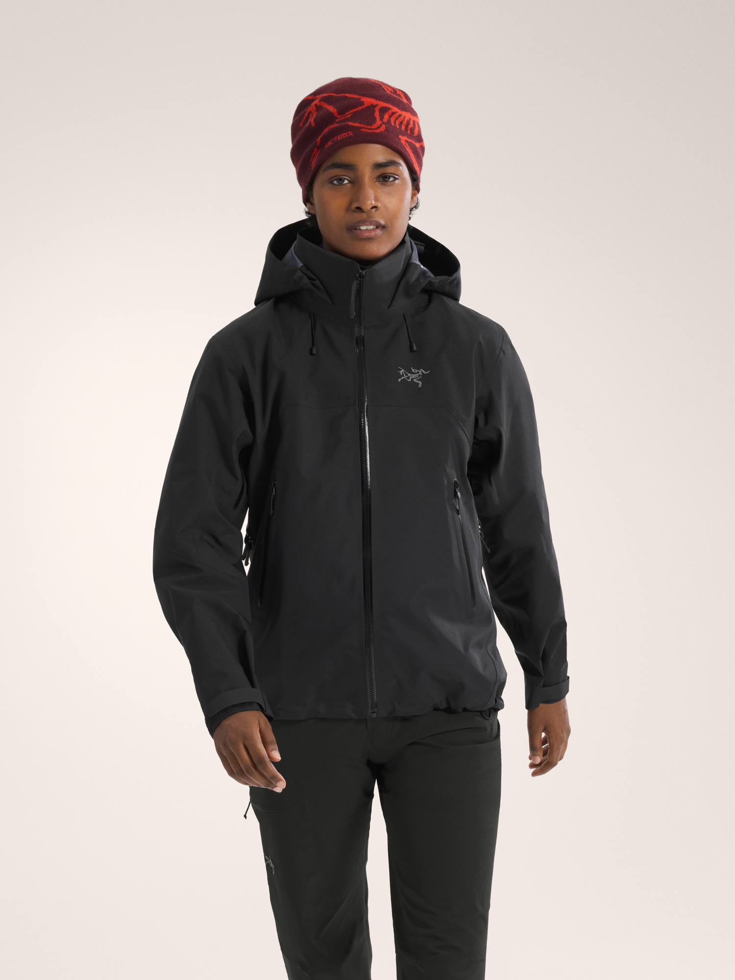 【試着のみ/希少カラー】ARC'TERYX Beta AR Jacket Beta AR Jacket Men's | Arc'teryx