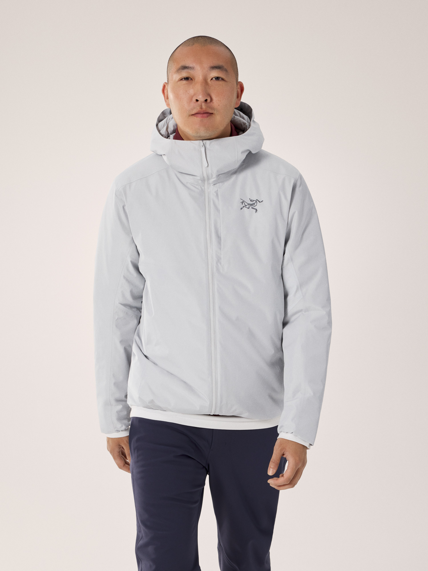 アークテリクス　Solano Down Hoody メンズ　Lサイズ ソラノ フーディ メンズ – アークテリクス公式オンラインストア