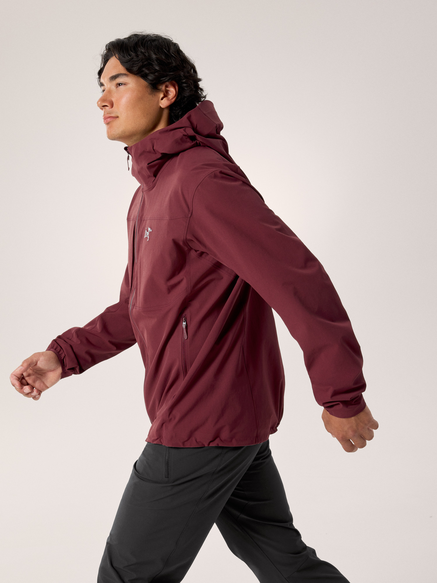 Gamma Hoody Men's