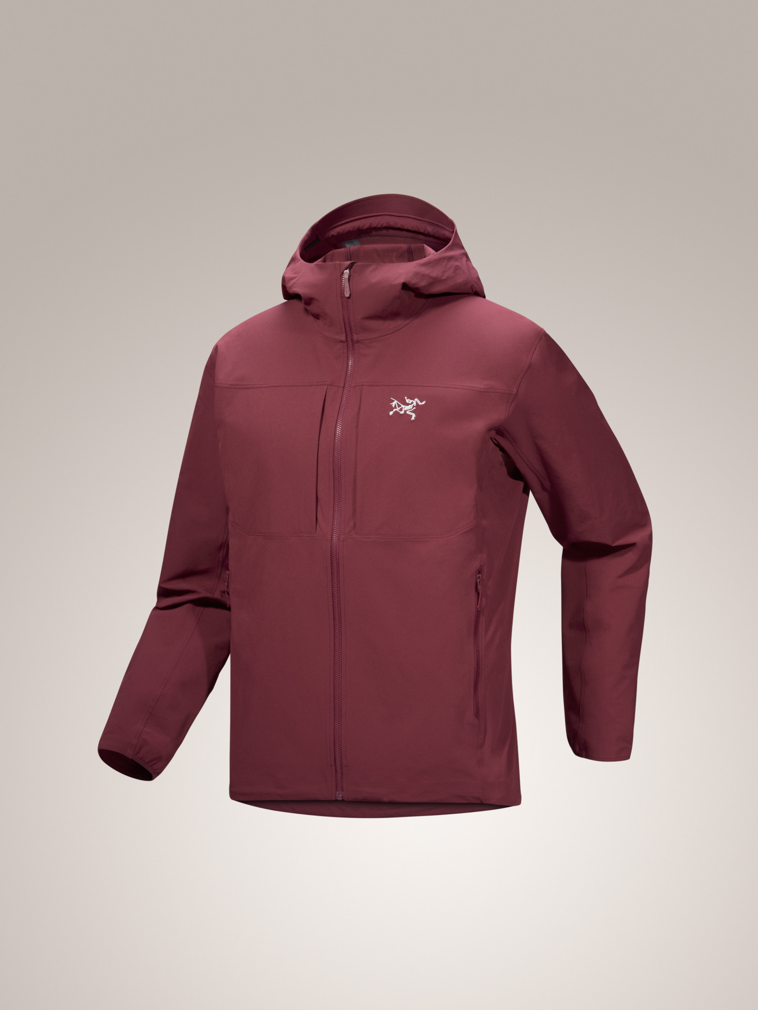 Gamma Hoody Men's