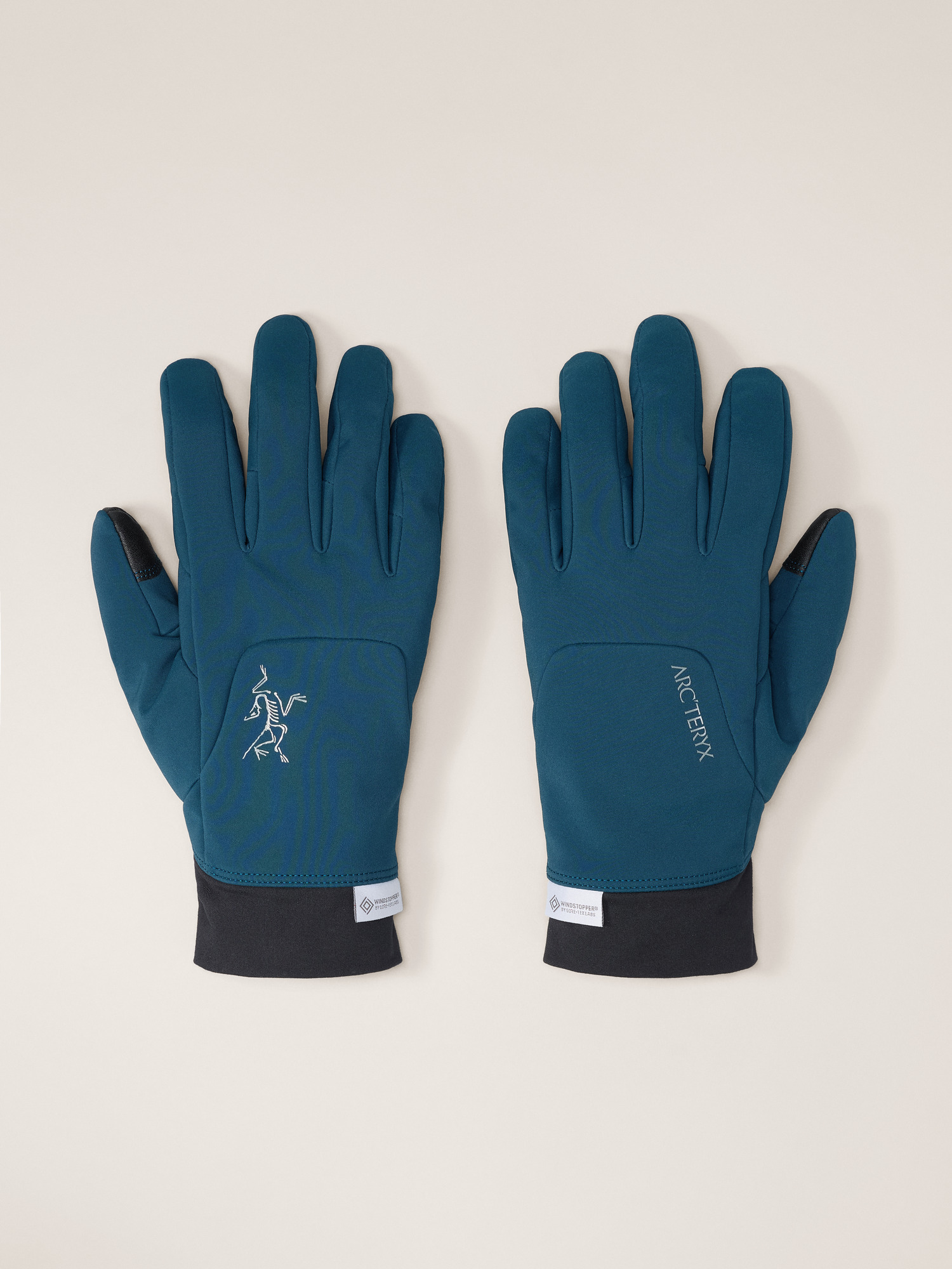 小物 ARC'TERYX VENTA GLOVE s Venta Glove | Arc'teryx