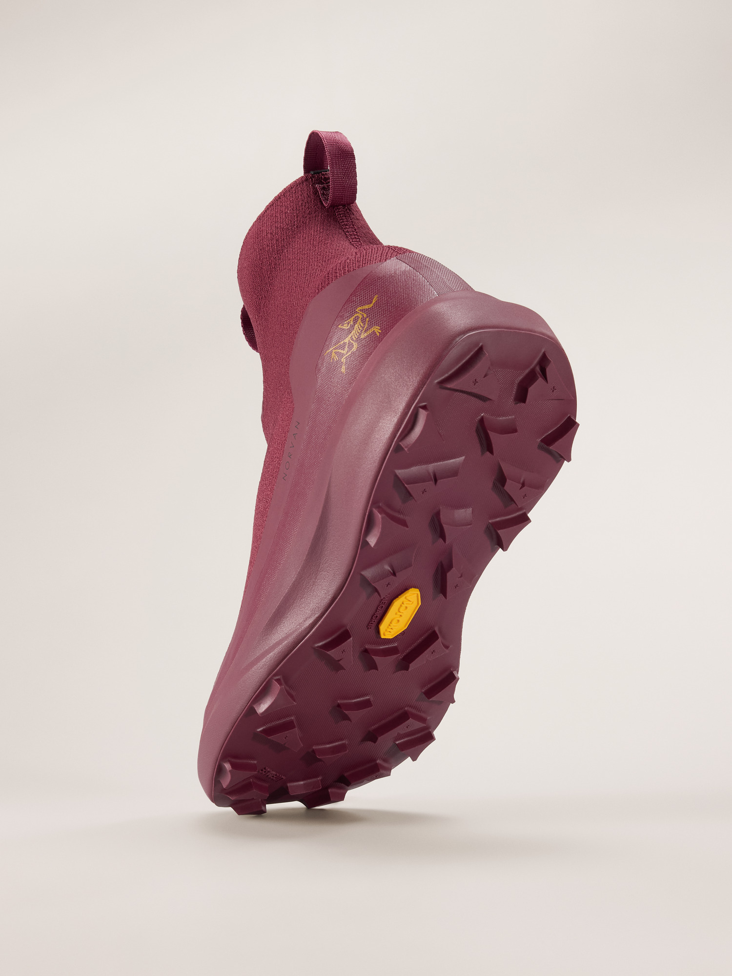 Norvan 4 Nivalis GTX Shoe Women's | Arc'teryx Canada