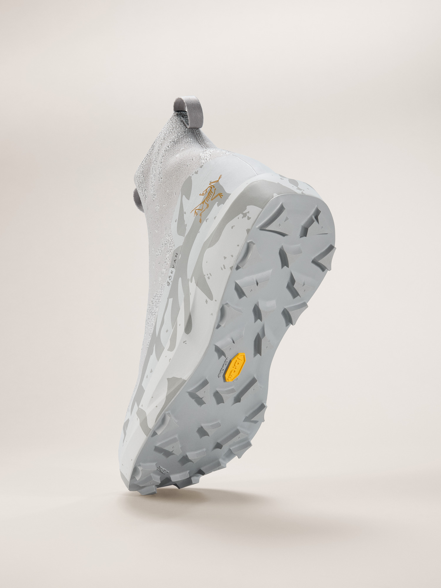 Norvan 4 Nivalis GTX Grotto Shoe Men's