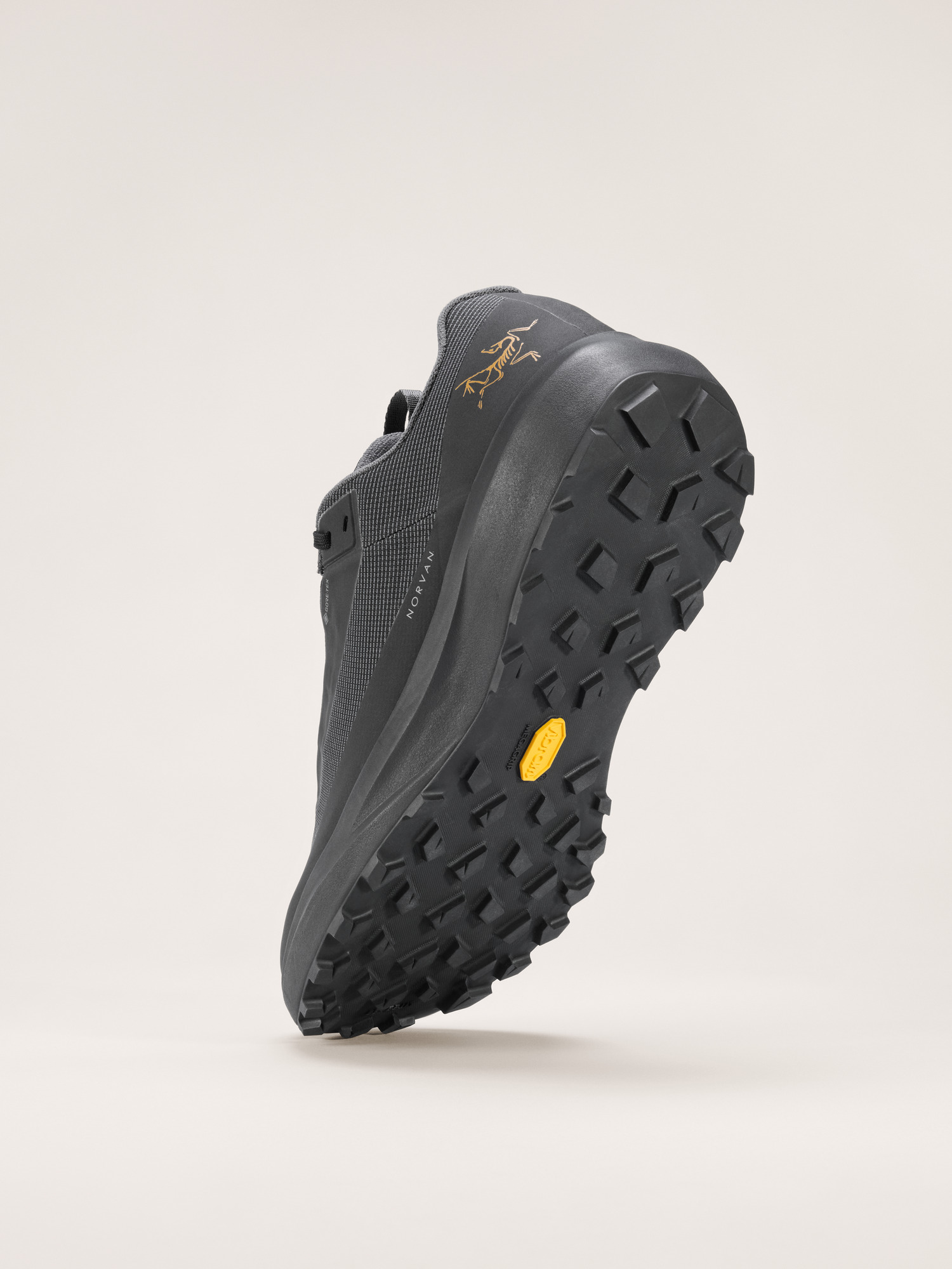 Norvan LD 4 GTX Shoe Men