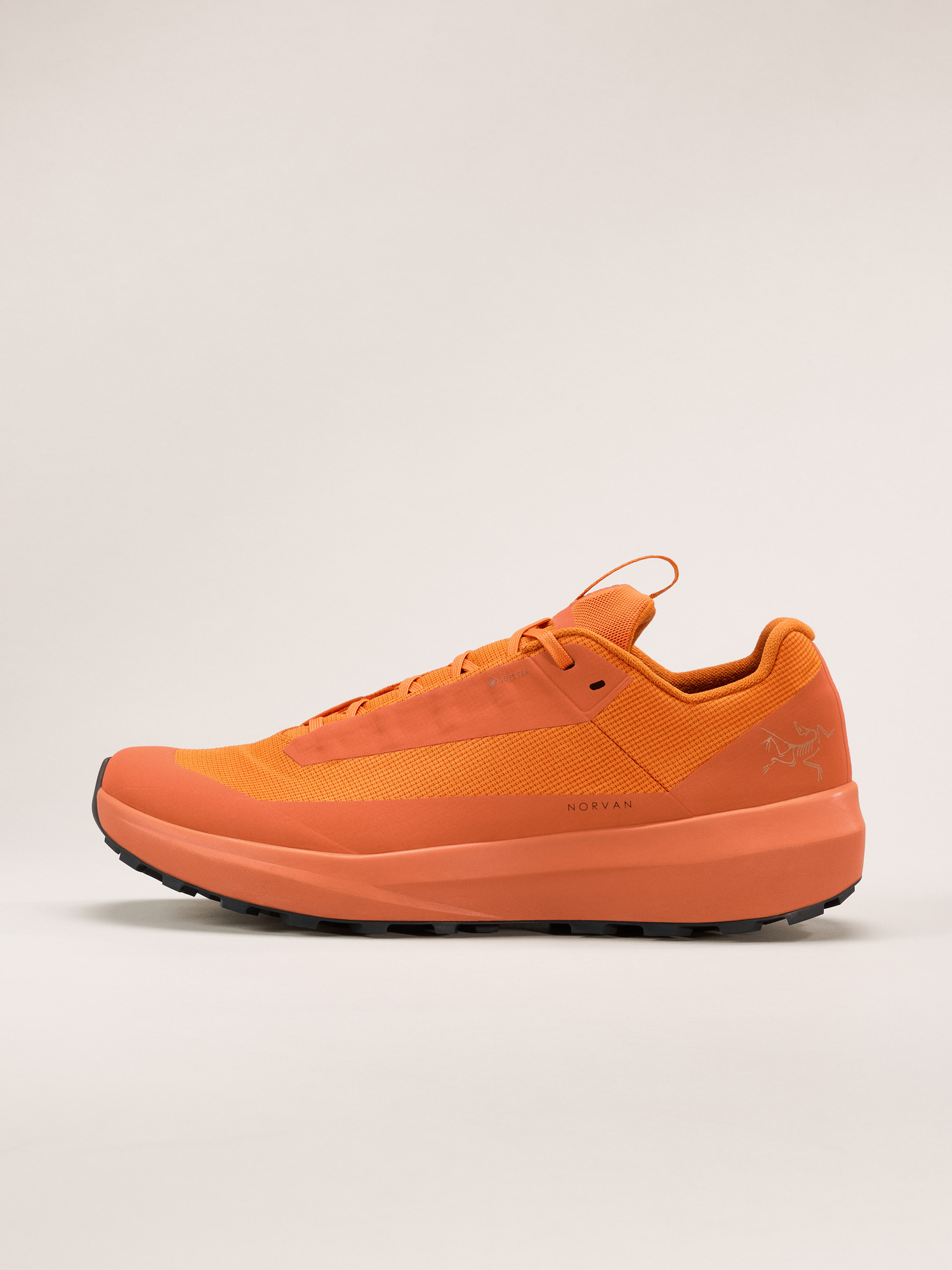Norvan LD 4 GTX Shoe Men's | Arc'teryx United States