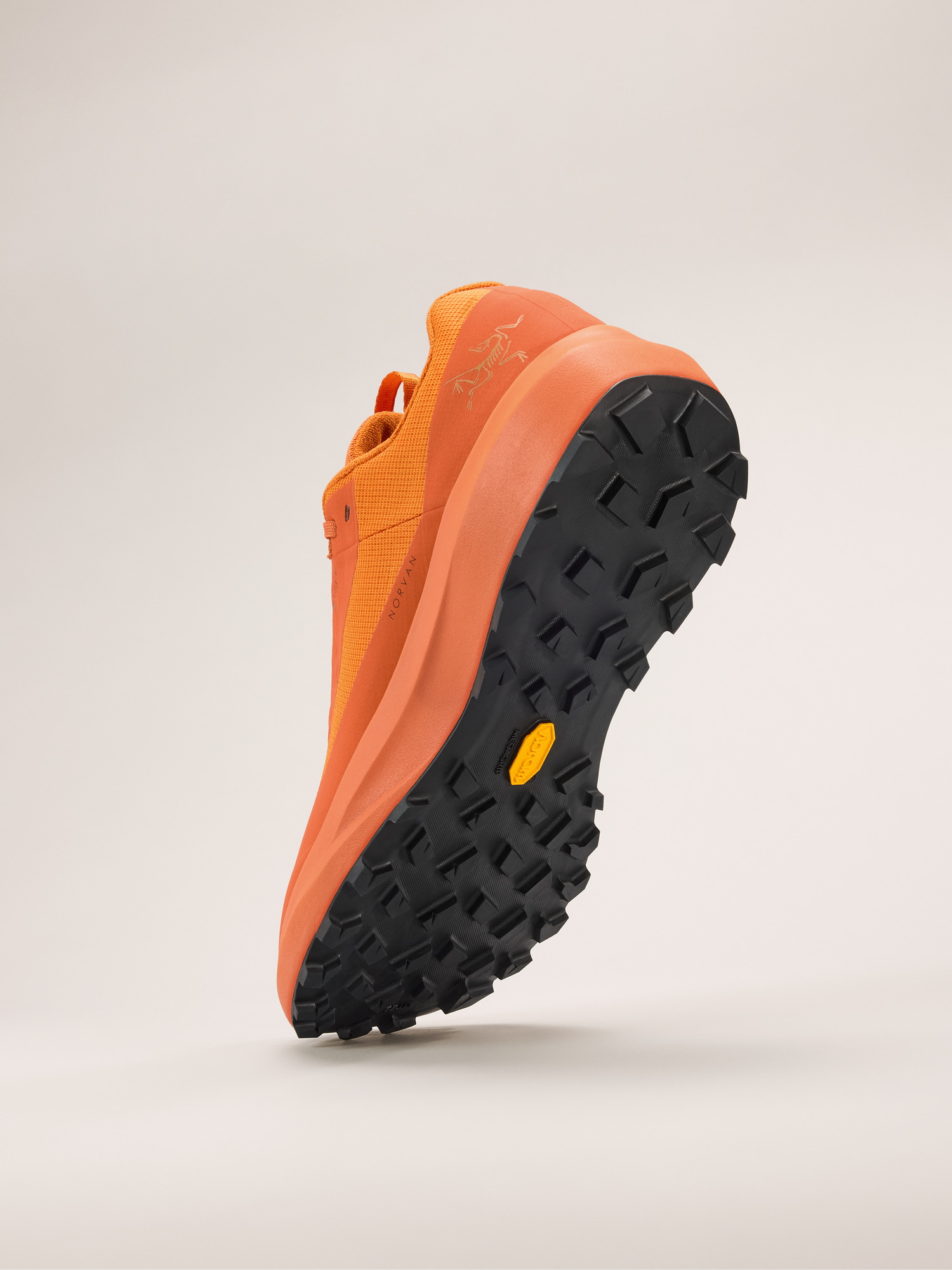 Norvan LD 4 GTX Shoe Men's | Arc'teryx Canada