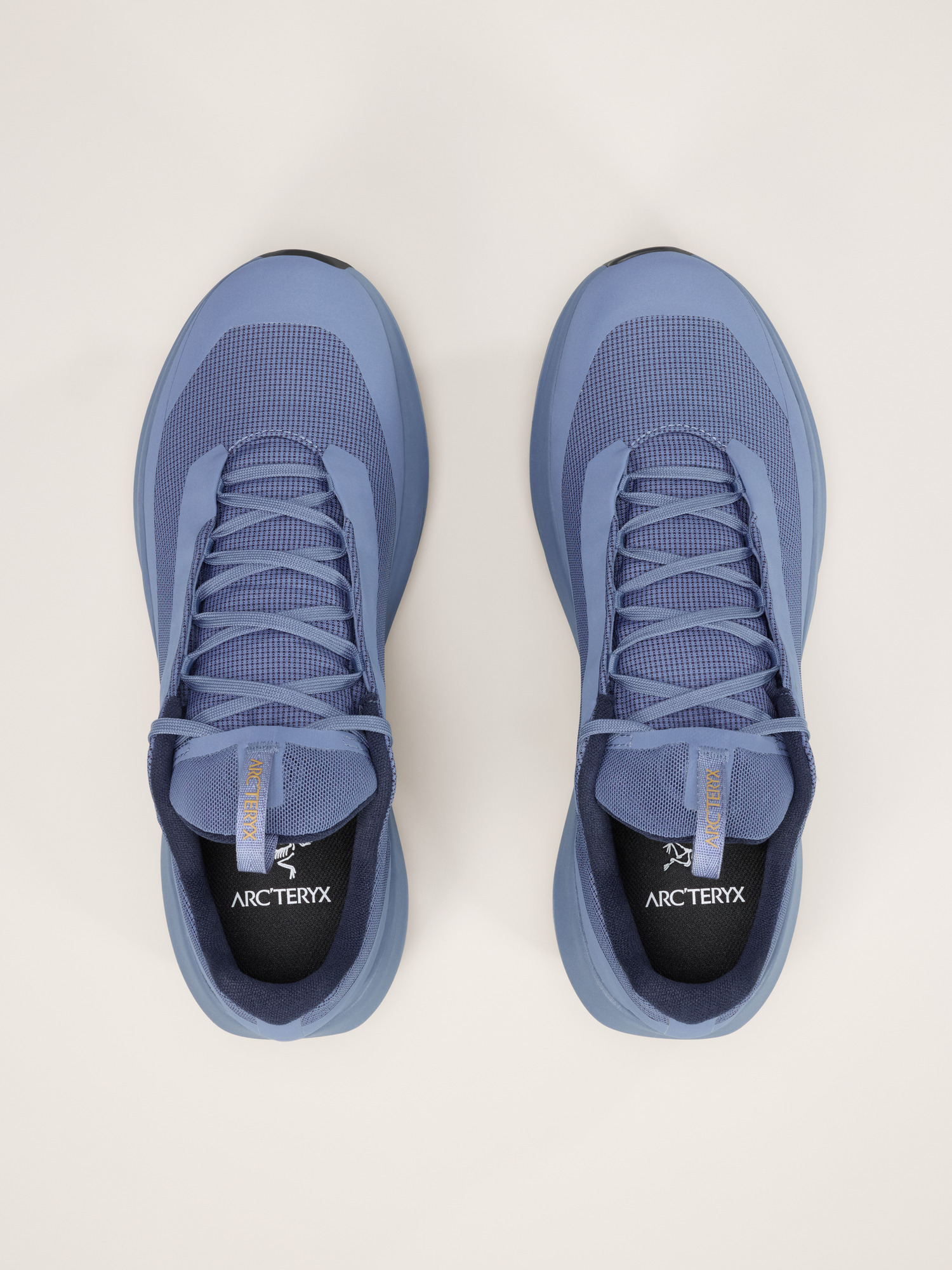 noa♡ NOA/Gallery | SynthV Wiki | Fandom