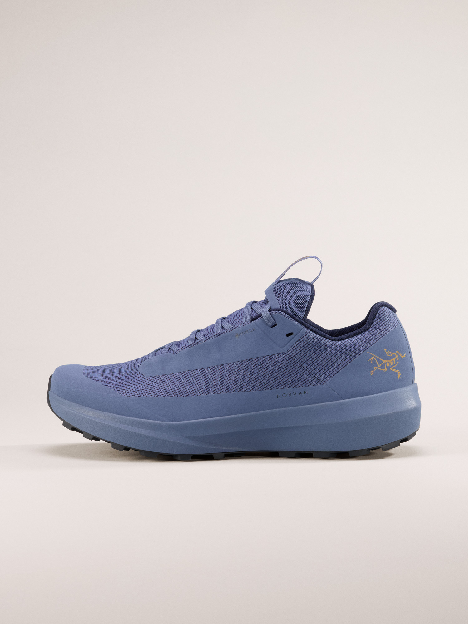 Norvan LD 4 GTX Shoe Men's | Arc'teryx United States