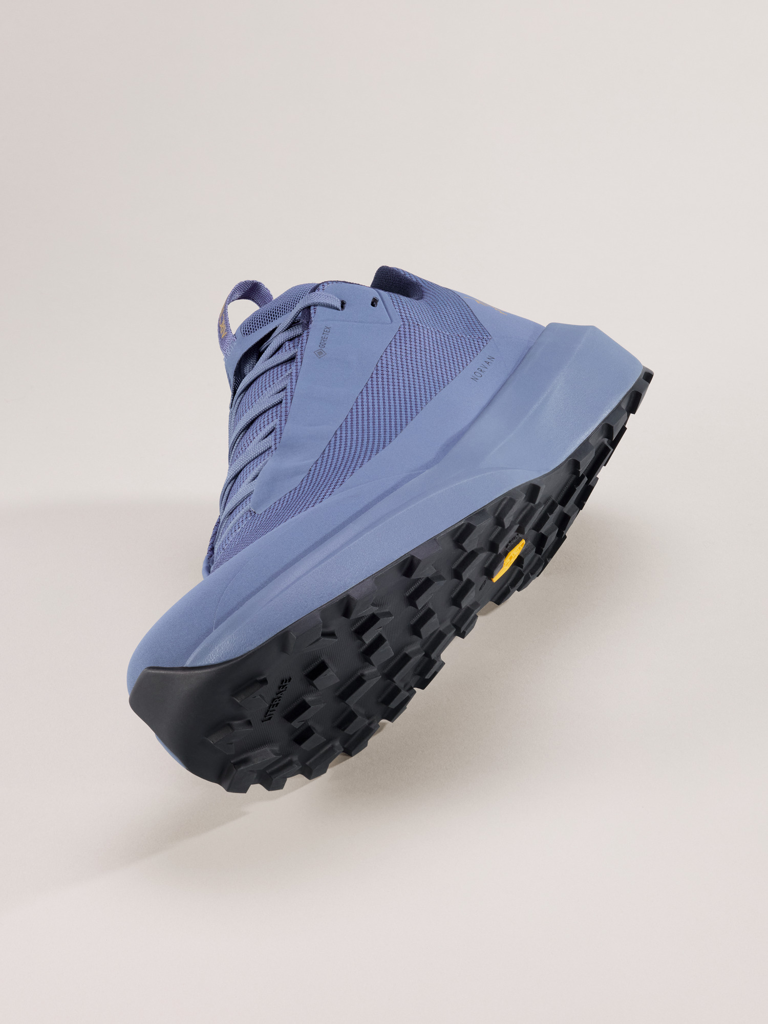 Norvan LD 4 GTX Shoe Men's | Arc'teryx Canada