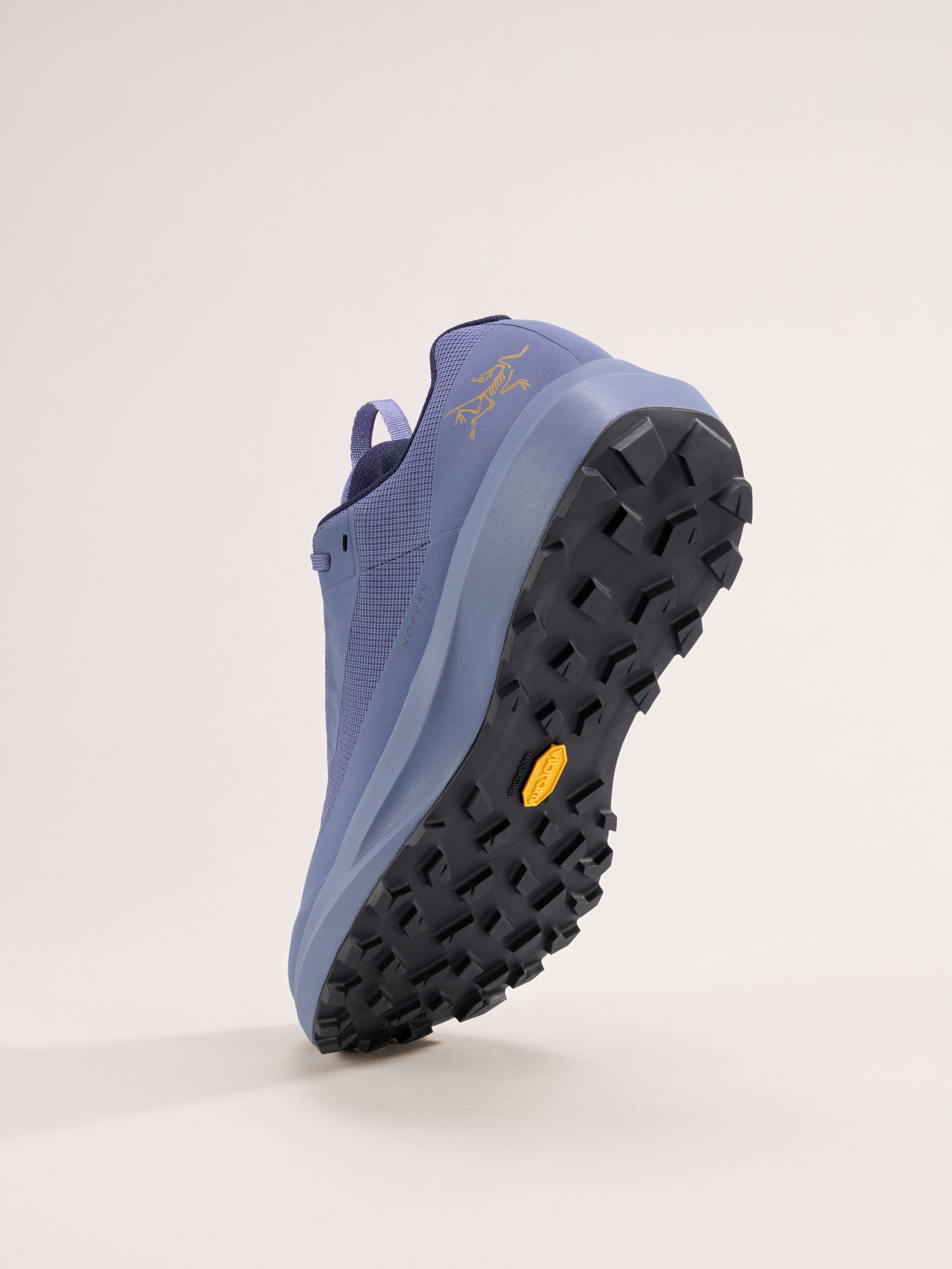 Norvan LD 4 GTX Shoe Men's | Arc'teryx Canada