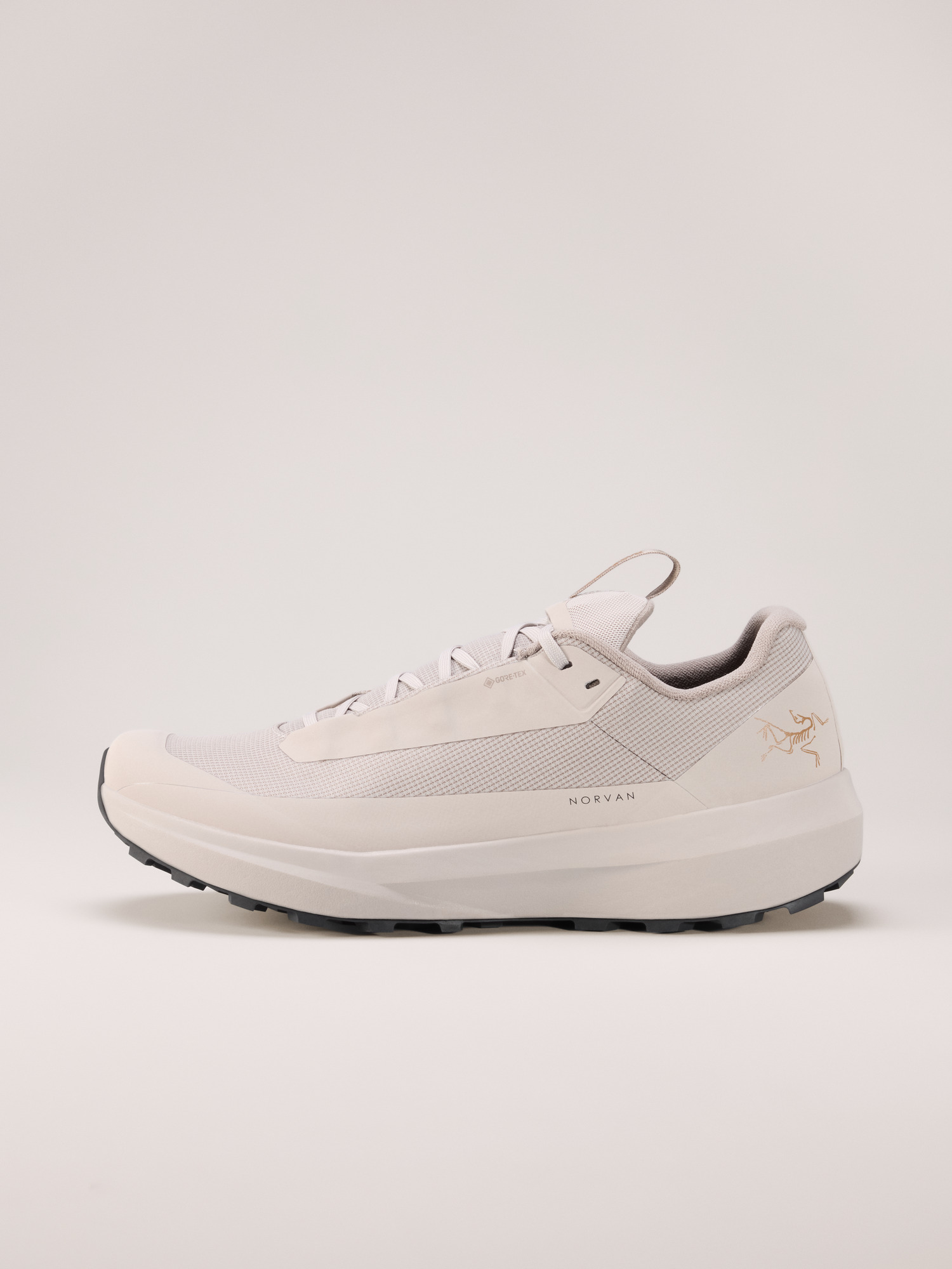 Norvan LD 4 GTX Shoe Men's | Arc'teryx United States