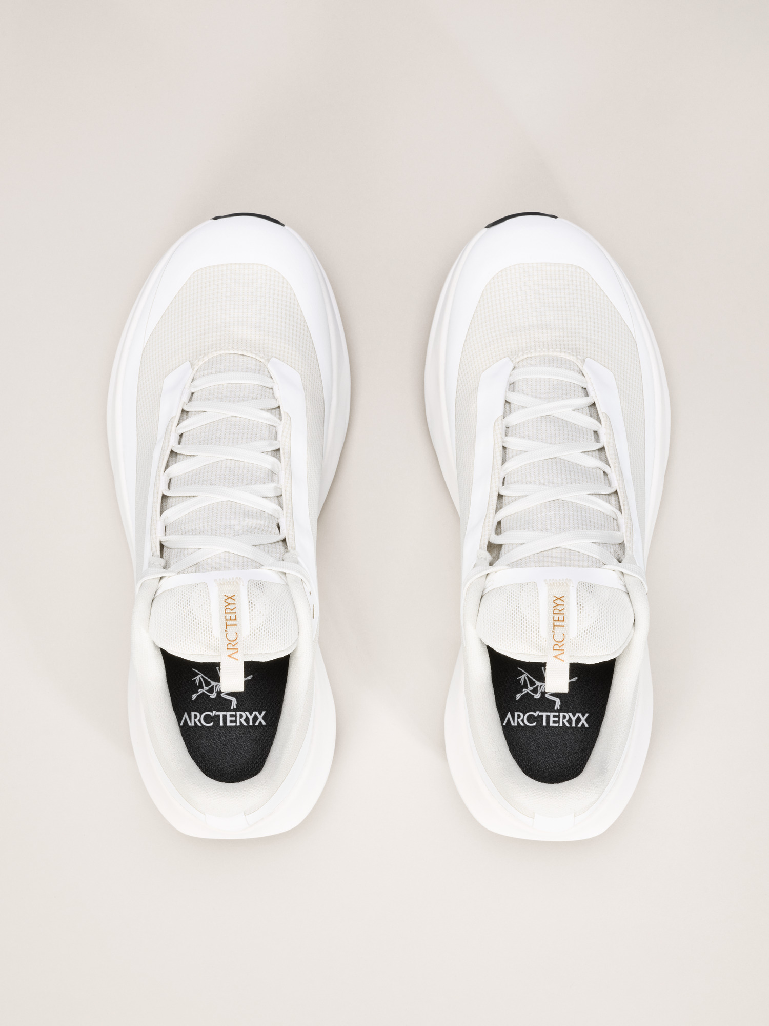 Norvan LD 4 GTX Shoe