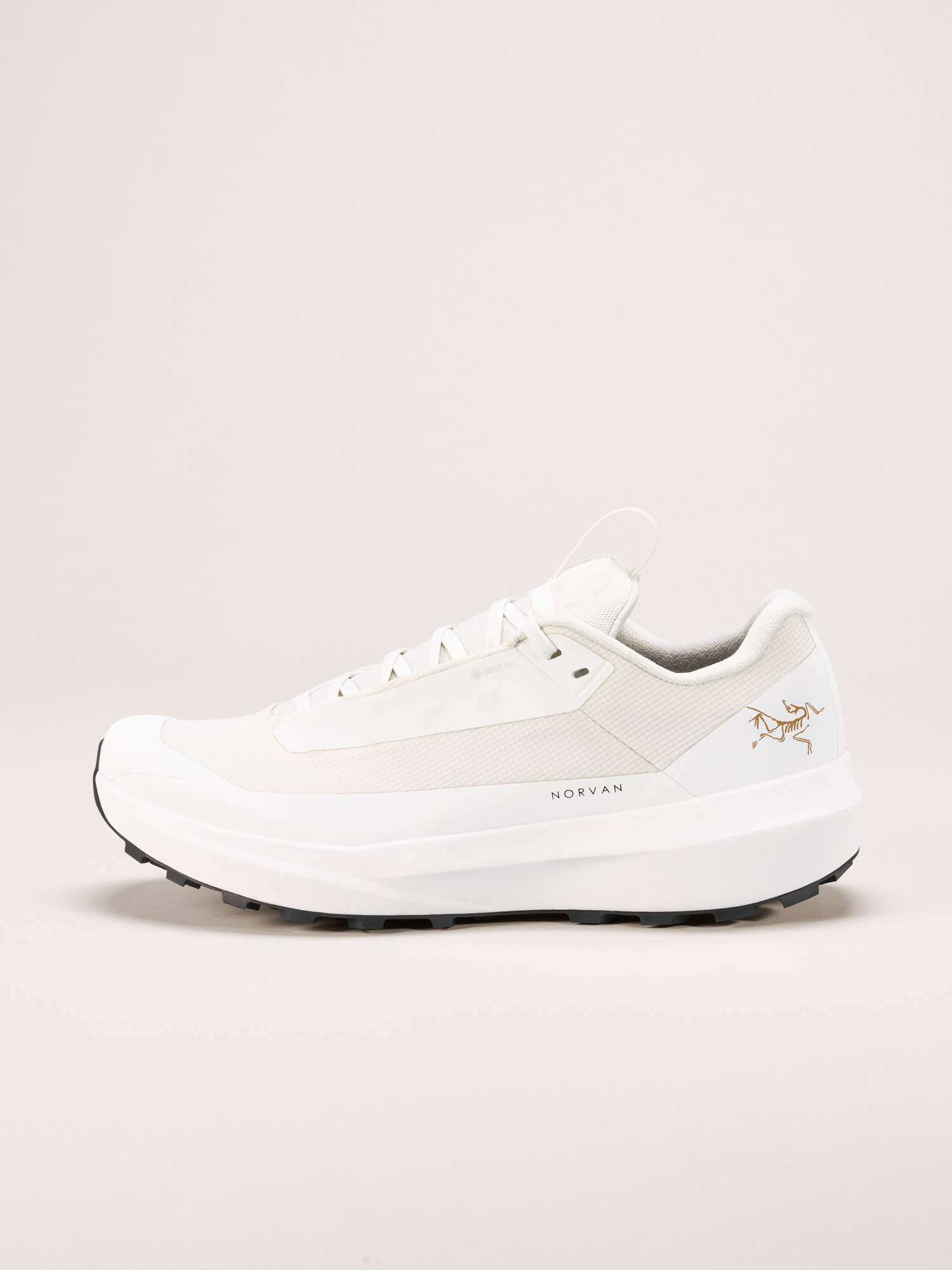 Norvan LD 4 GTX Shoe Women's