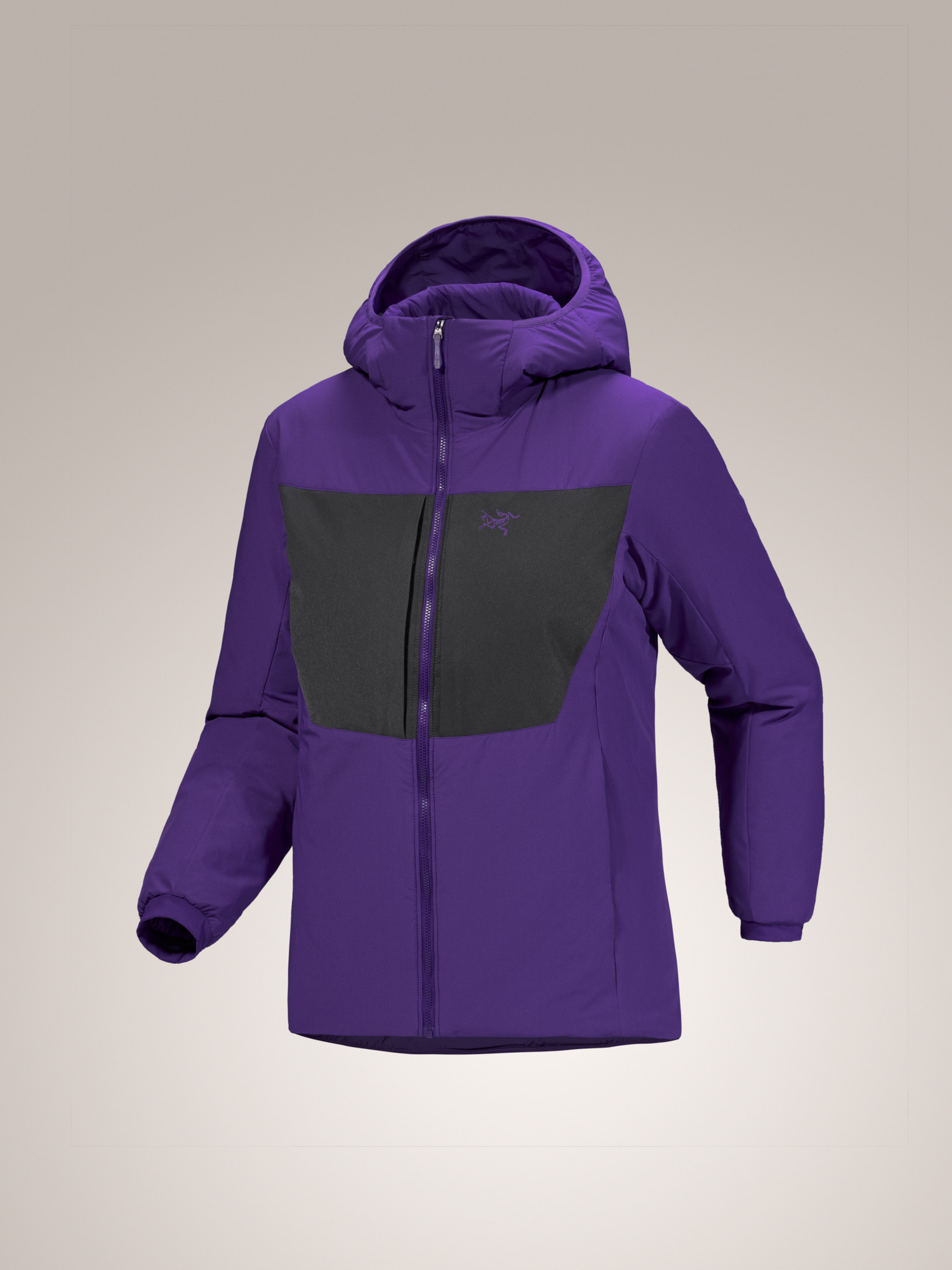 Proton Heavyweight Hoody Women