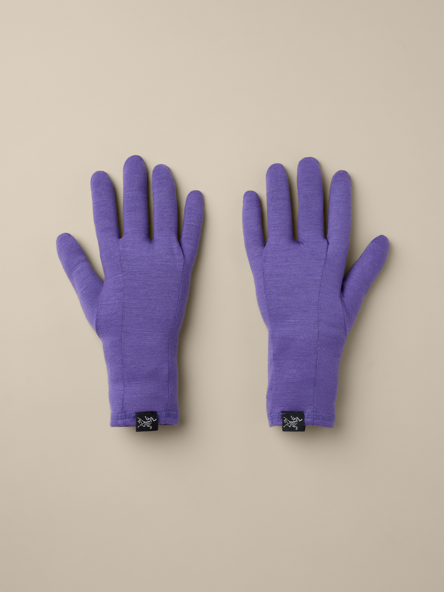 Venta GTX Glove | Arc'teryx Canada