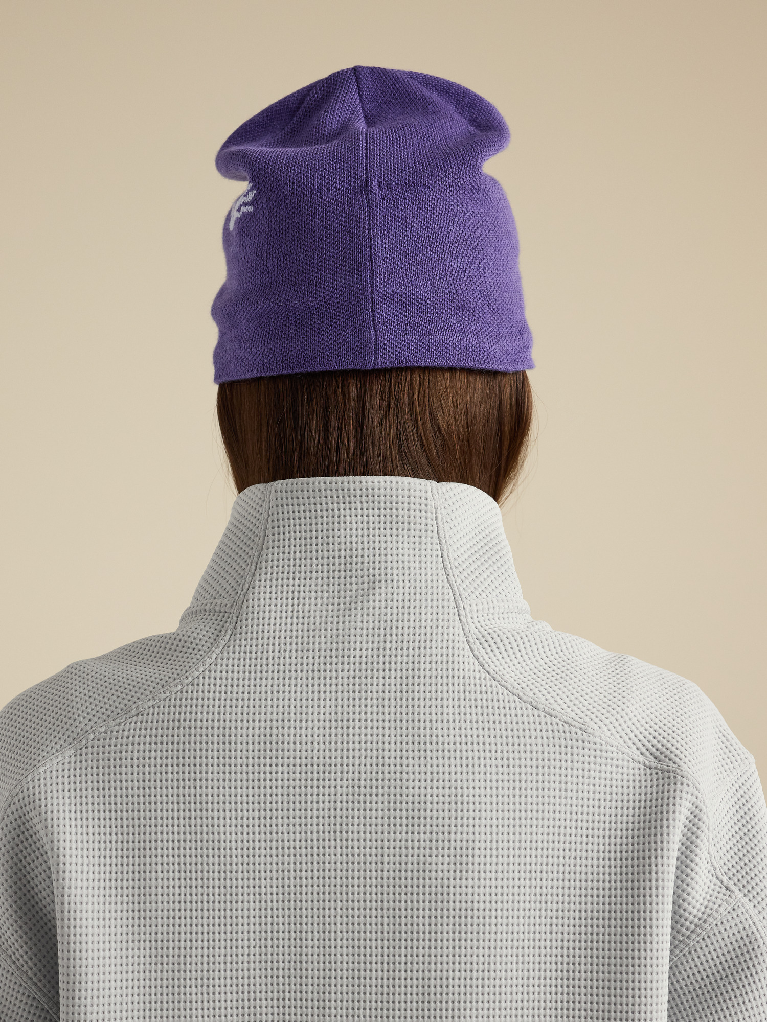 Bird Head Toque | Arc'teryx United States