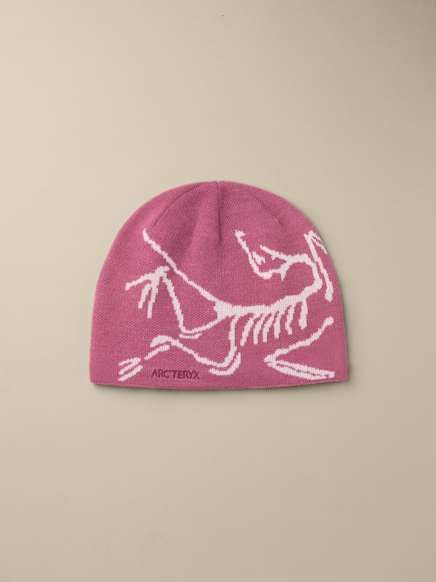 Bird Head Toque | Arc'teryx United States