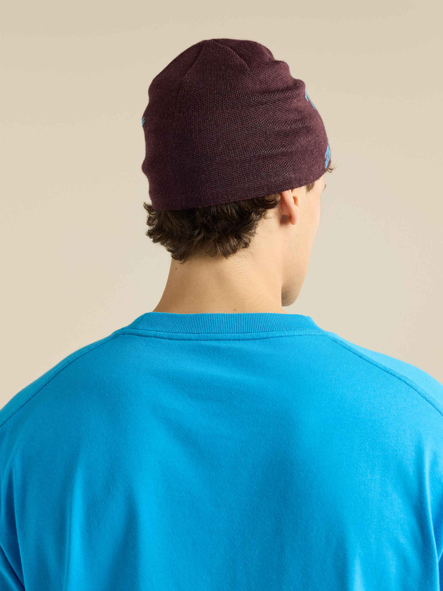 Bird Head Toque | Arc'teryx United States