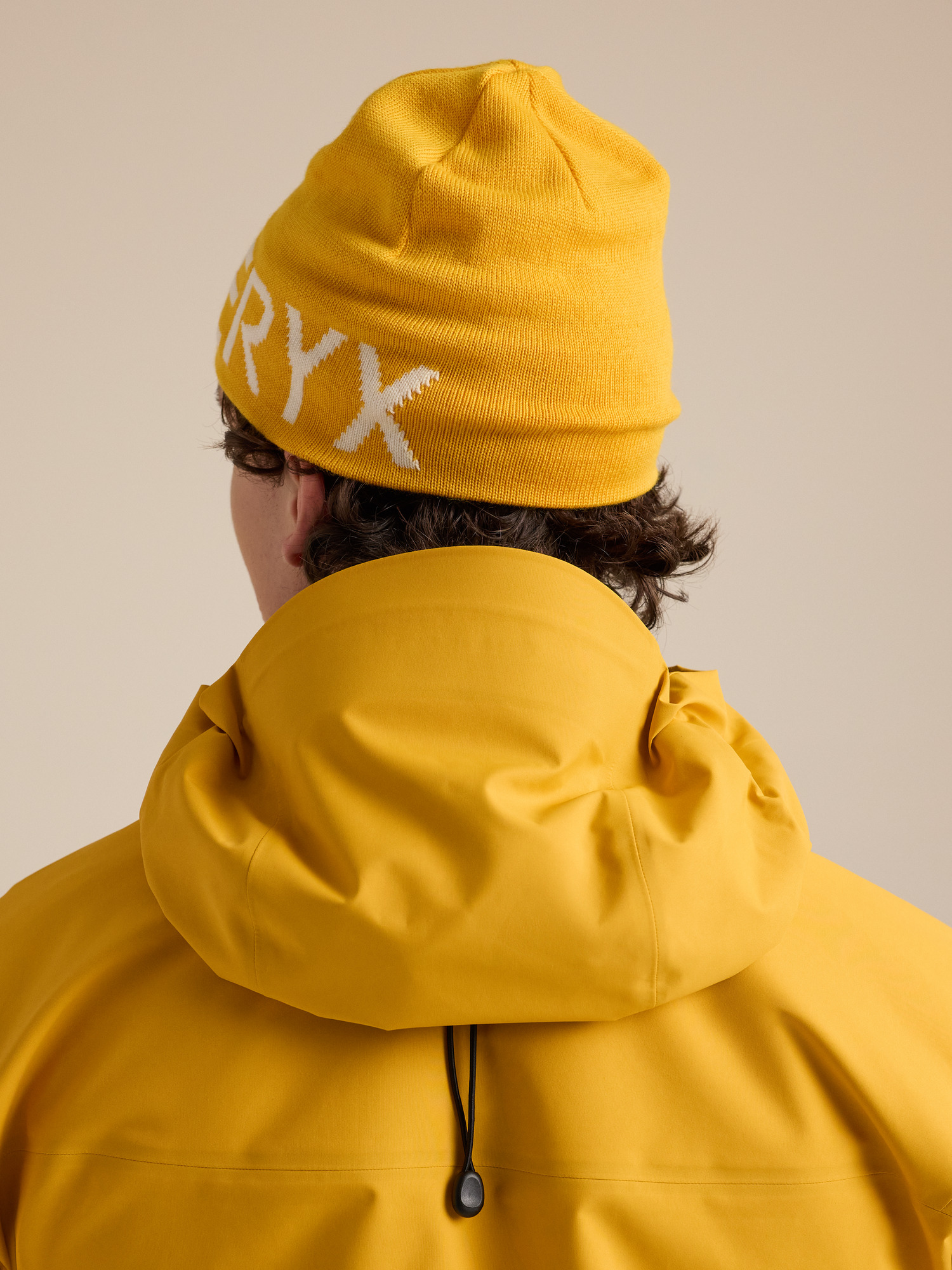 Головные уборы Arc'teryx Word Head Toque, цвет: Шёлковый — фото 5