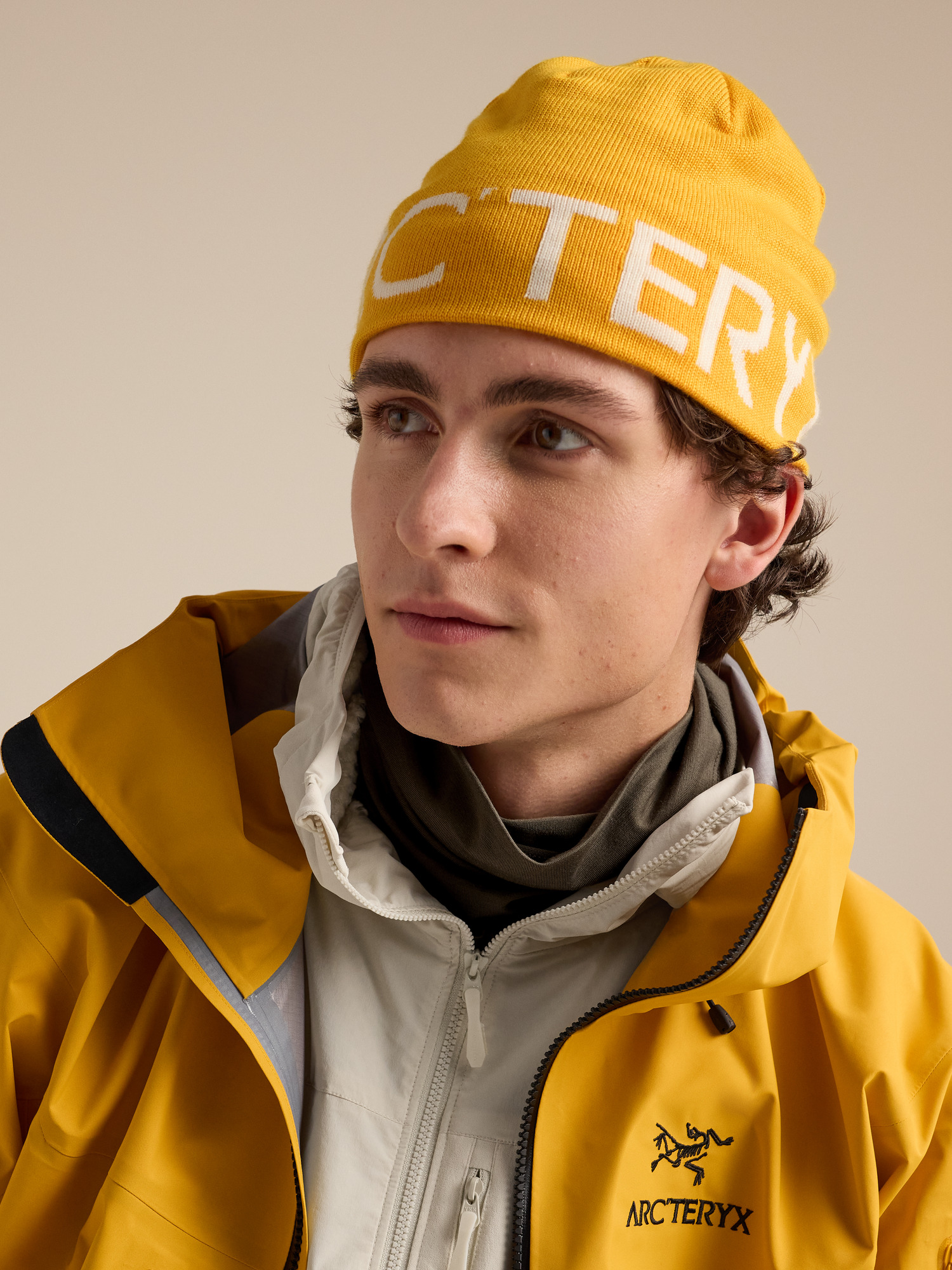 Головные уборы Arc'teryx Word Head Toque, цвет: Шёлковый — фото 3