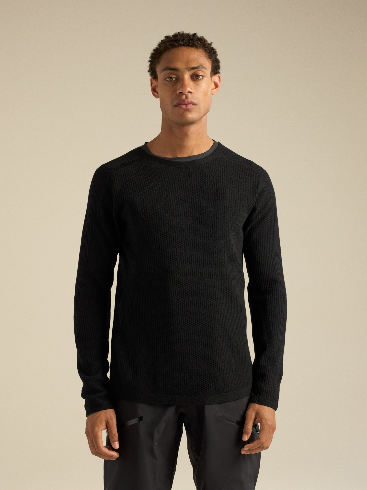 Arc'teryx Hallam Merino Wool Crew Neck Men's, цвет: Чёрный