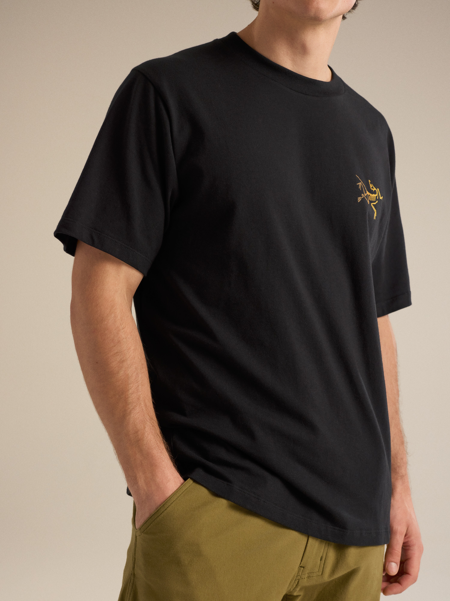 Мужская рубашка Arc'teryx Kragg Cotton Logo Shirt SS, цвет: 24k Чёрный — фото 5