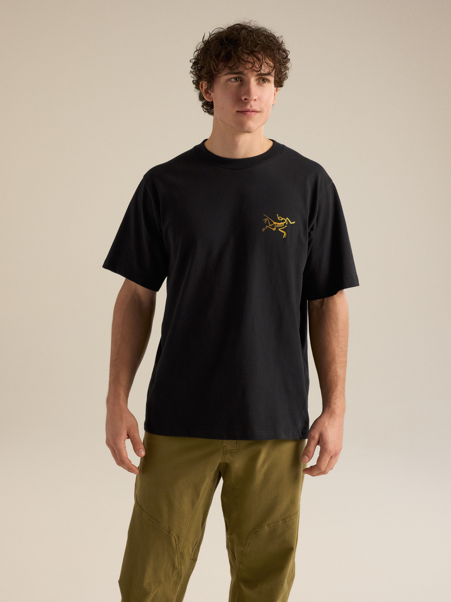Arc'teryx Kragg Cotton Logo SS Tシャツ Kragg Cotton Logo Shirt SS Men's | Arc'teryx United States