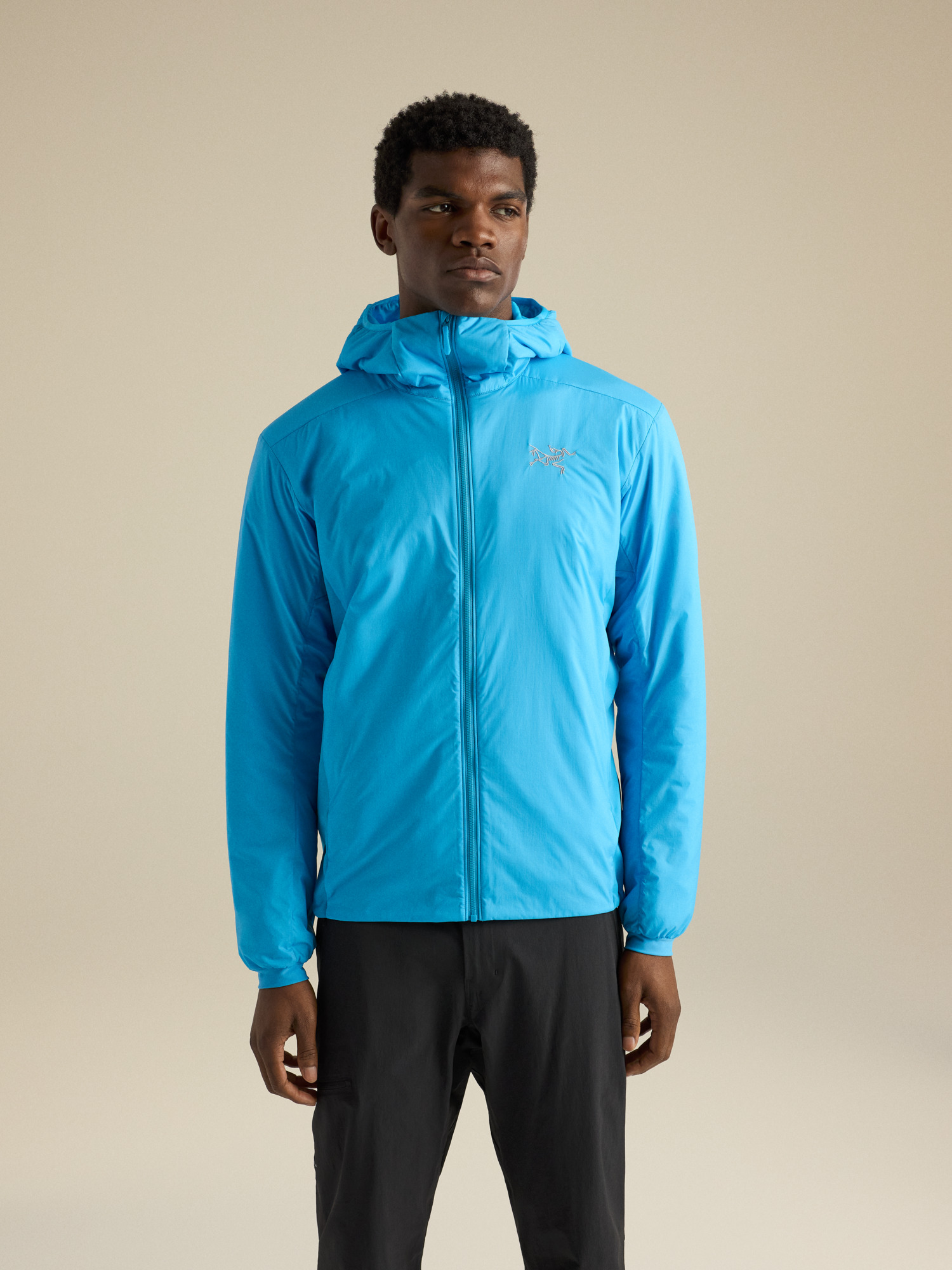 Мужские куртки Arc'teryx Atom Hoody, цвет: Aquaculture