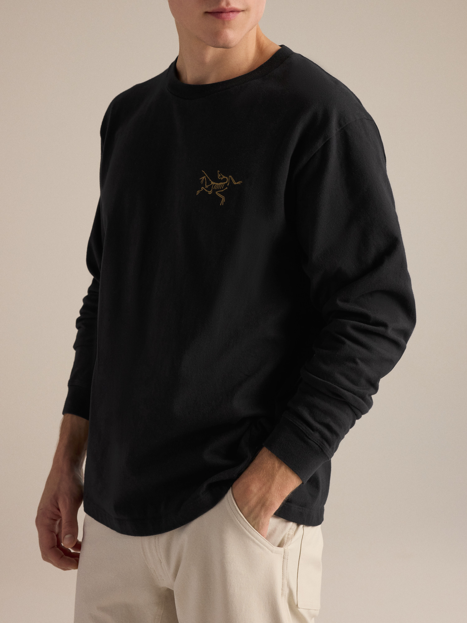 Мужская рубашка Arc'teryx Kragg Cotton Shirt LS, цвет: 24k Чёрный — фото 5