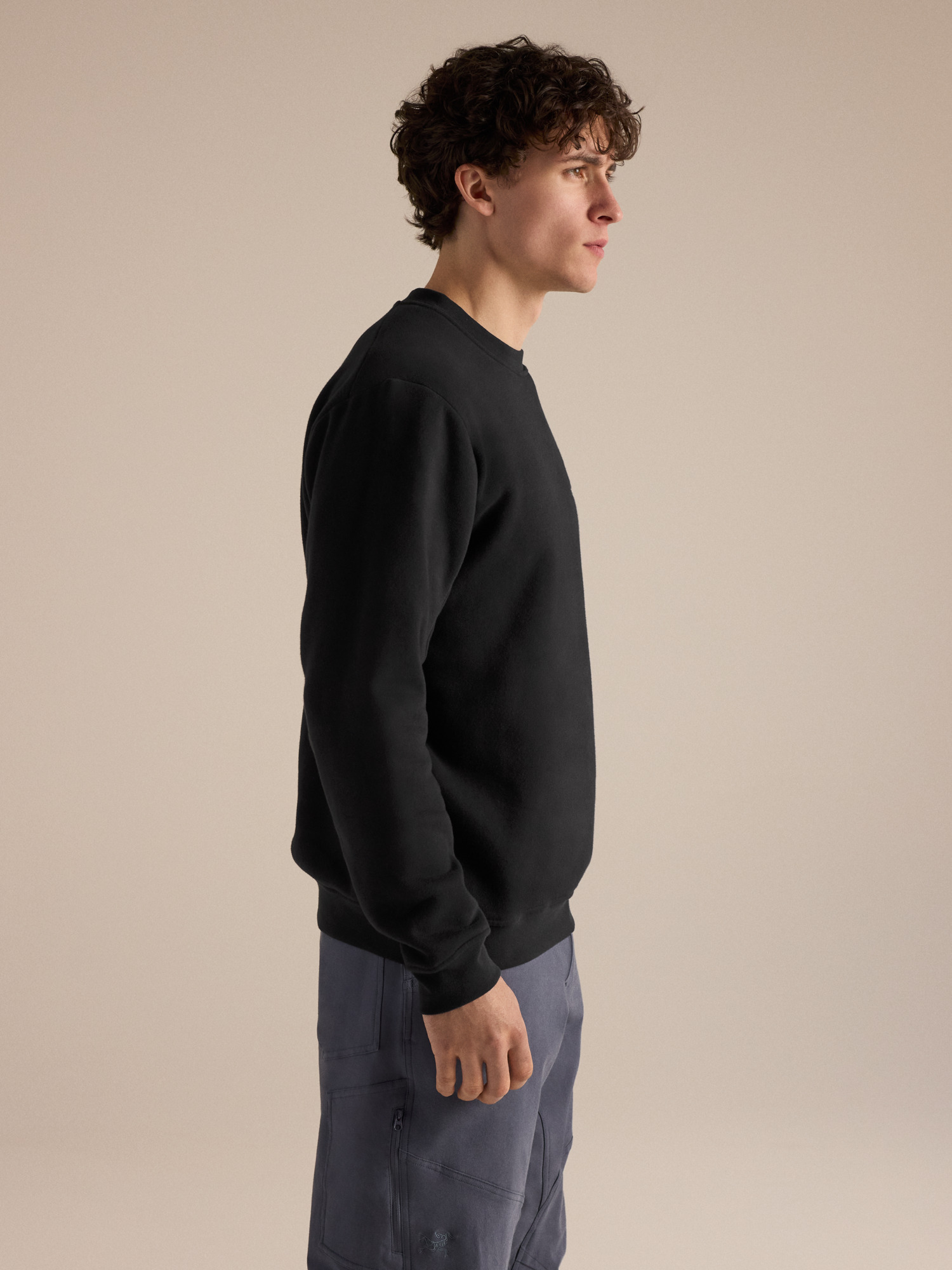 Emblem Fleece Crew Neck Pullover Men's | Arc'teryx United States