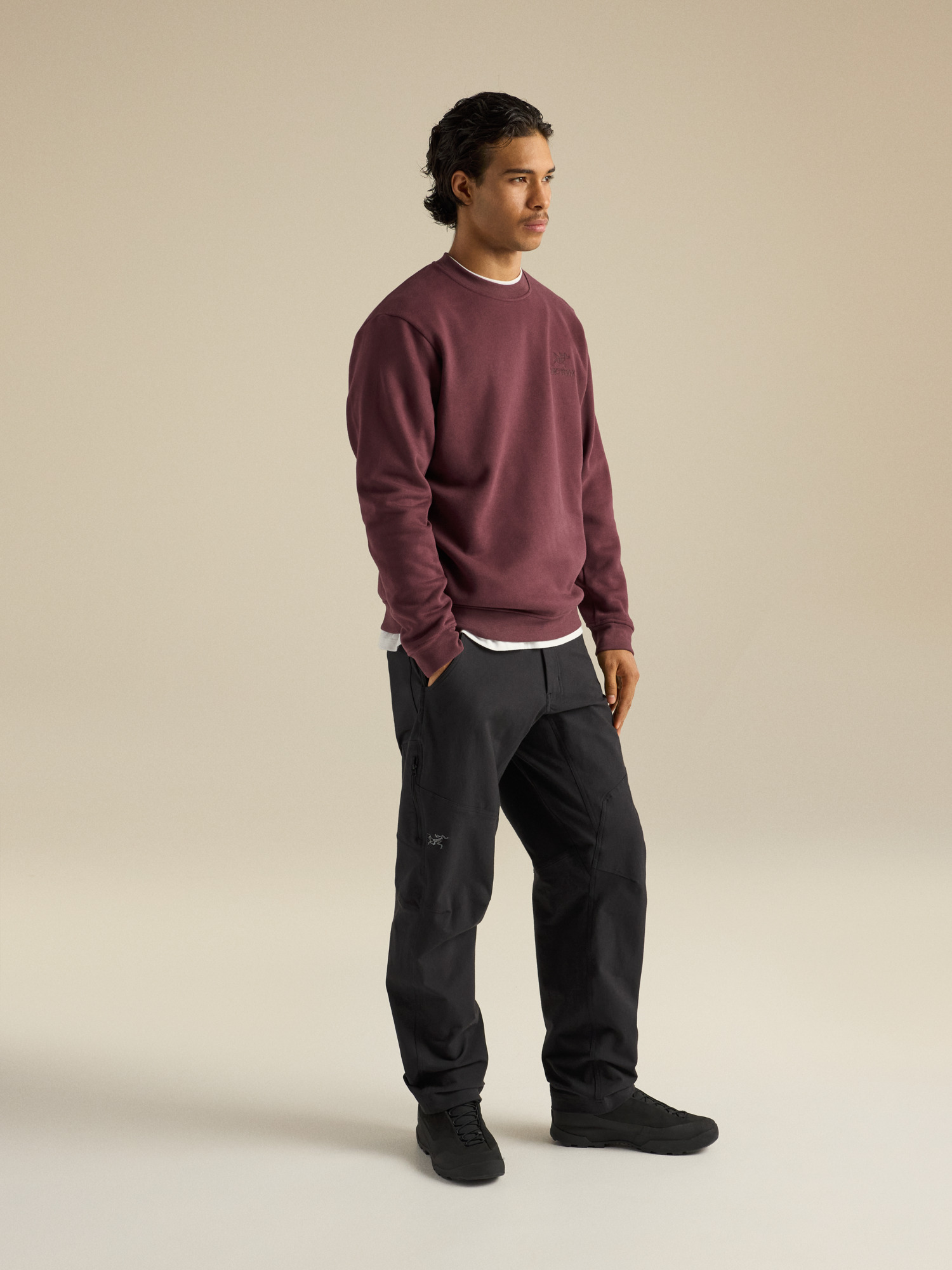 Emblem Fleece Crew Neck Pullover Men's | Arc'teryx United States