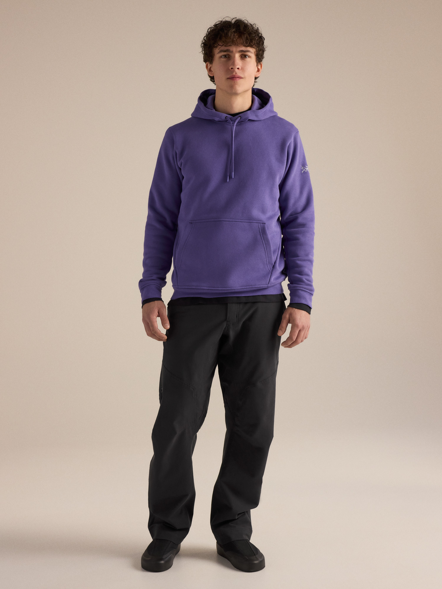 Мужские худи Arc'teryx Emblem Fleece Hoody, цвет: Blurple — фото 2