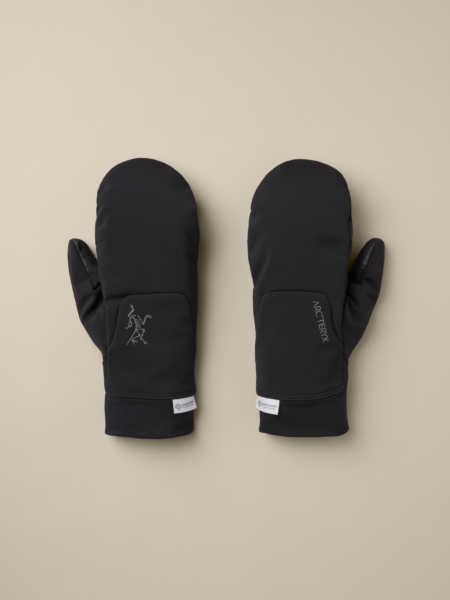 Venta Mitten by Arc'teryx