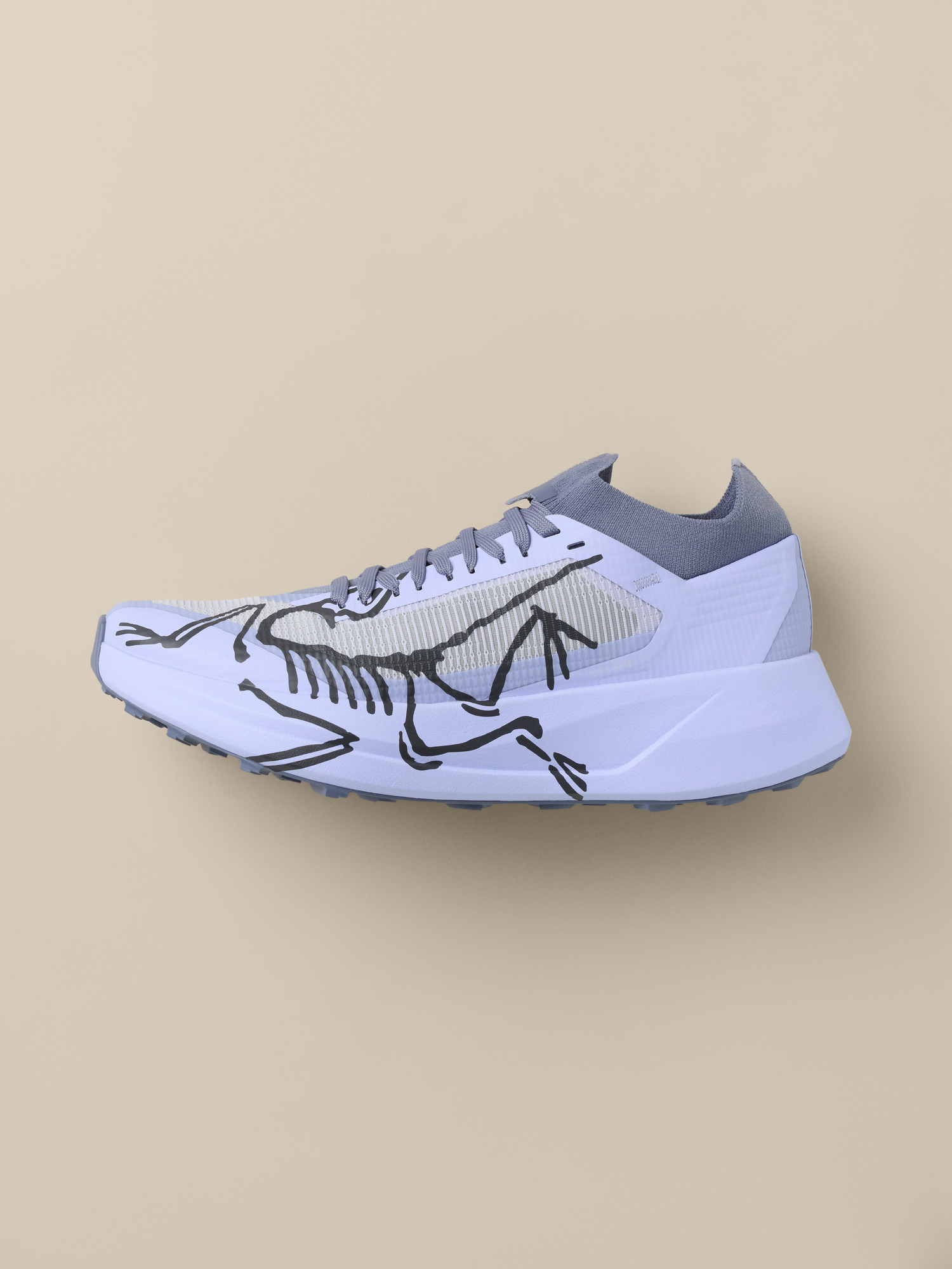 Sylan 2 Shoe Women's