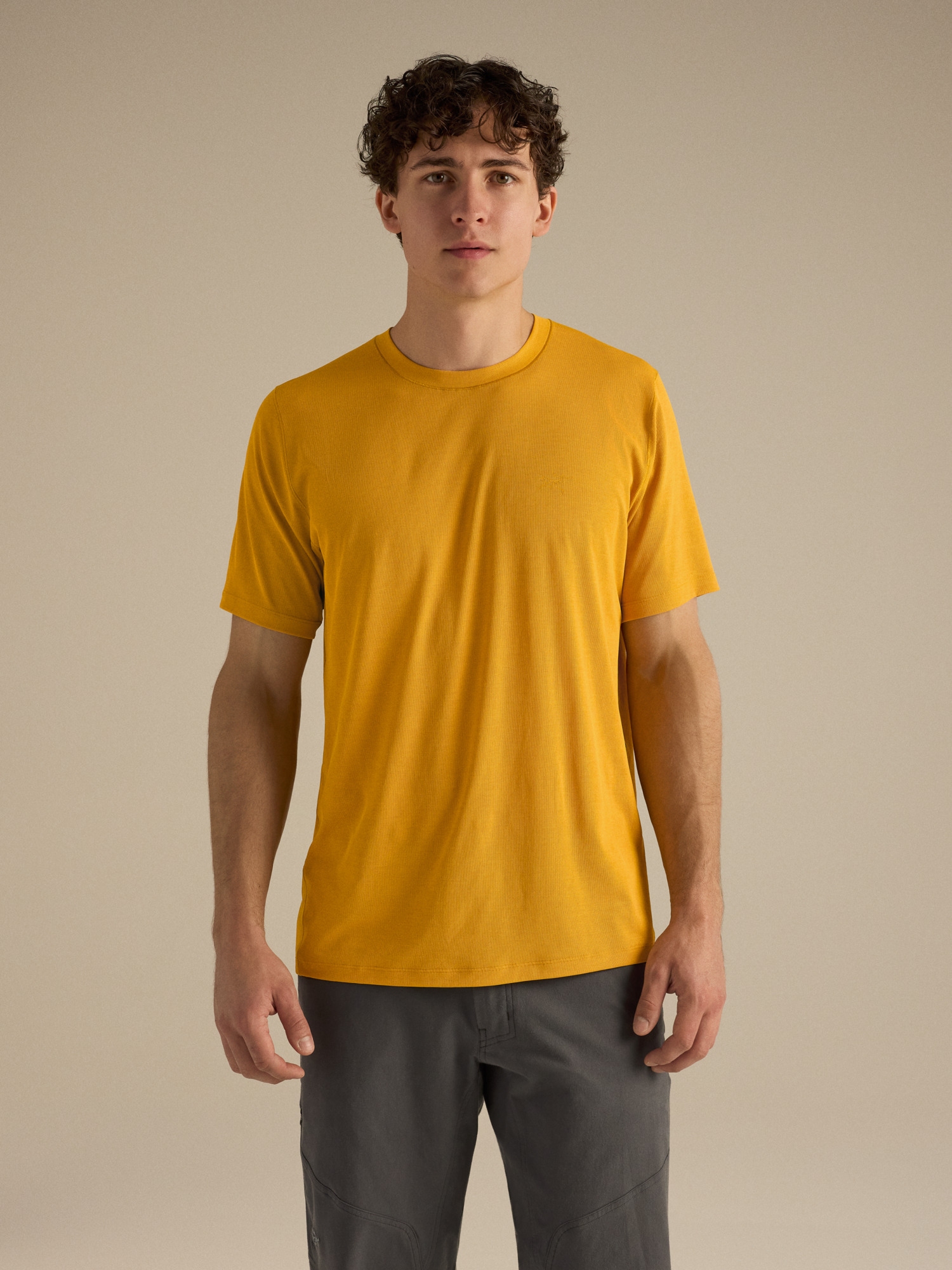 Cormac SS T-skjorte med rund hals Herre