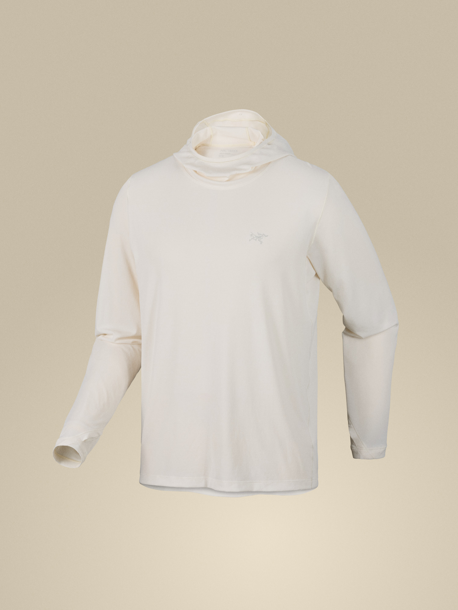 Мужские худи Arc'teryx Cormac Hoody, цвет: Шёлковый — фото 9