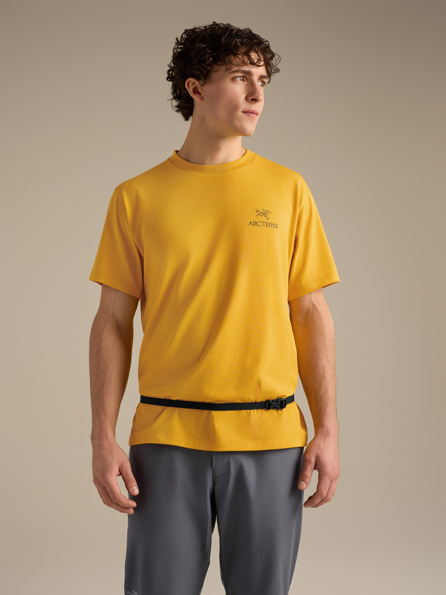 Ion SL Chalkbag