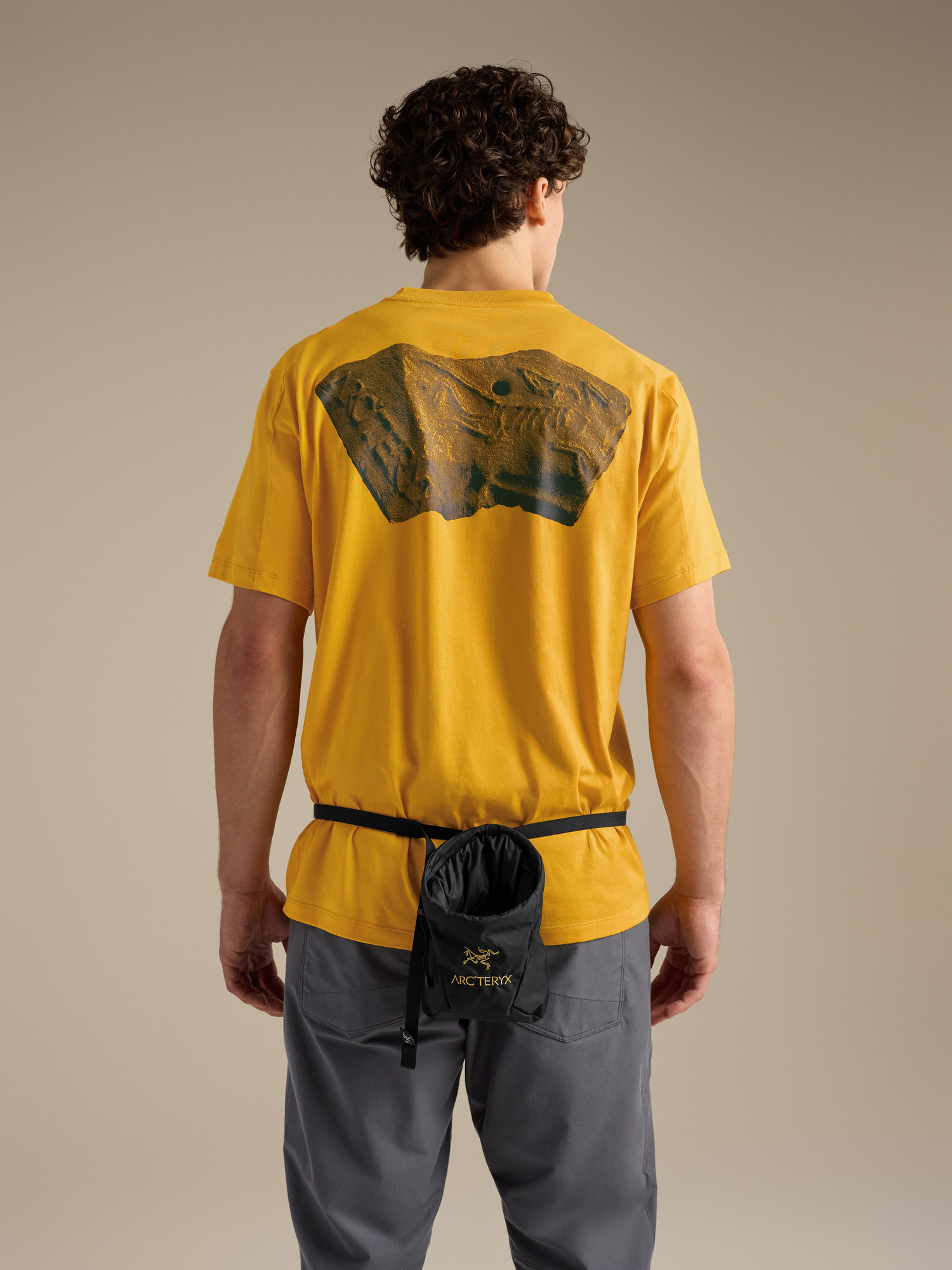 Снаряжение Arc'teryx Ion SL Chalkbag, цвет: 24k Чёрный — фото 3