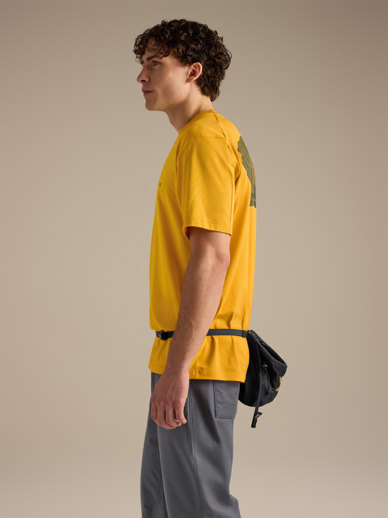 Ion SL Chalkbag