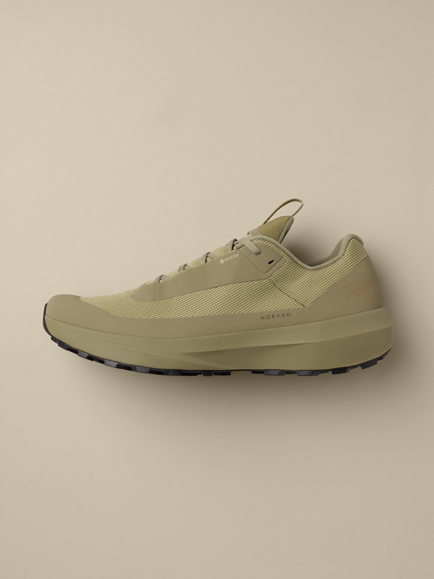 Norvan LD 4 GTX Shoe Men's | Arc'teryx United States
