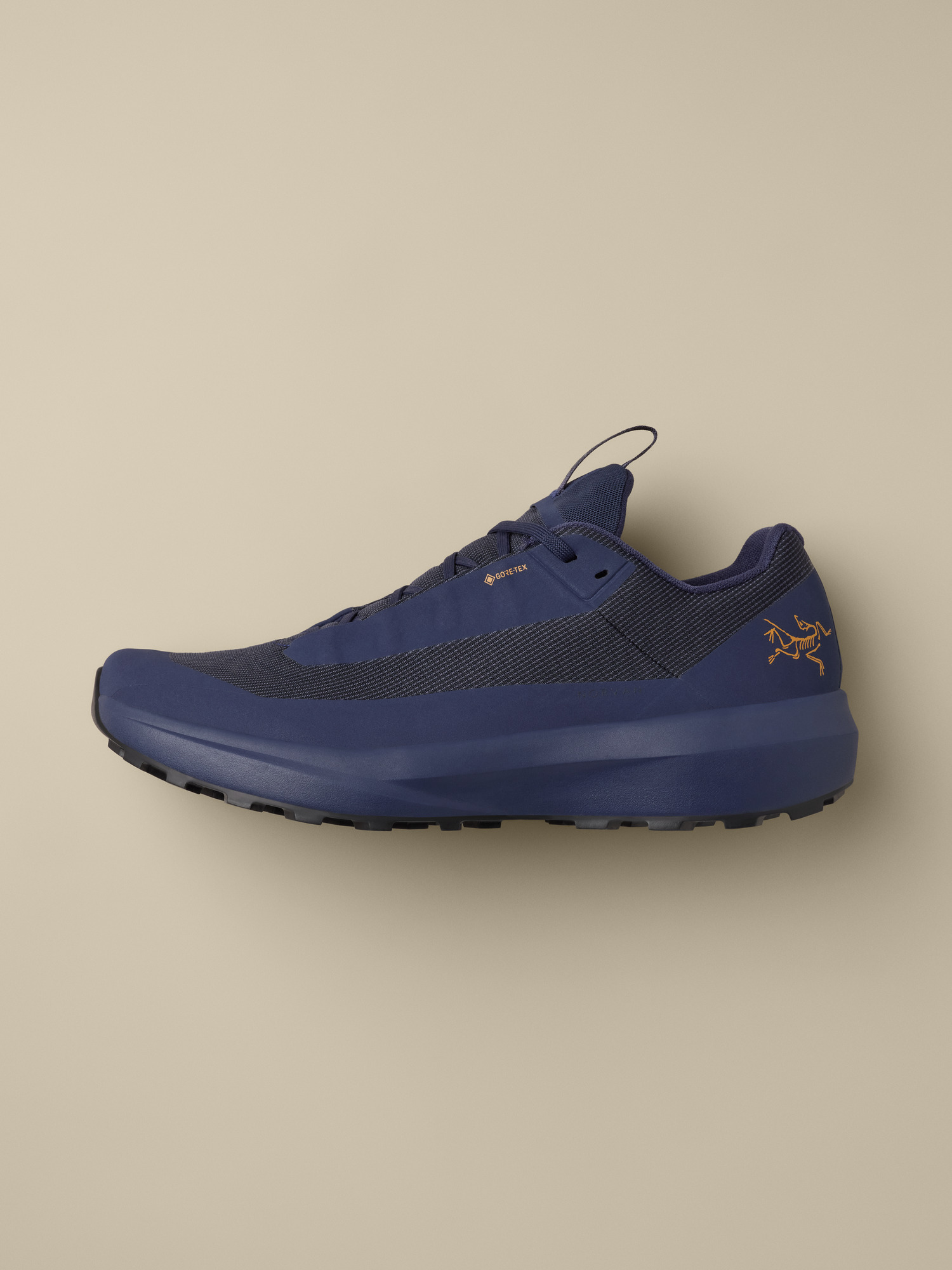 Norvan LD 4 GTX Shoe Men's | Arc'teryx United States