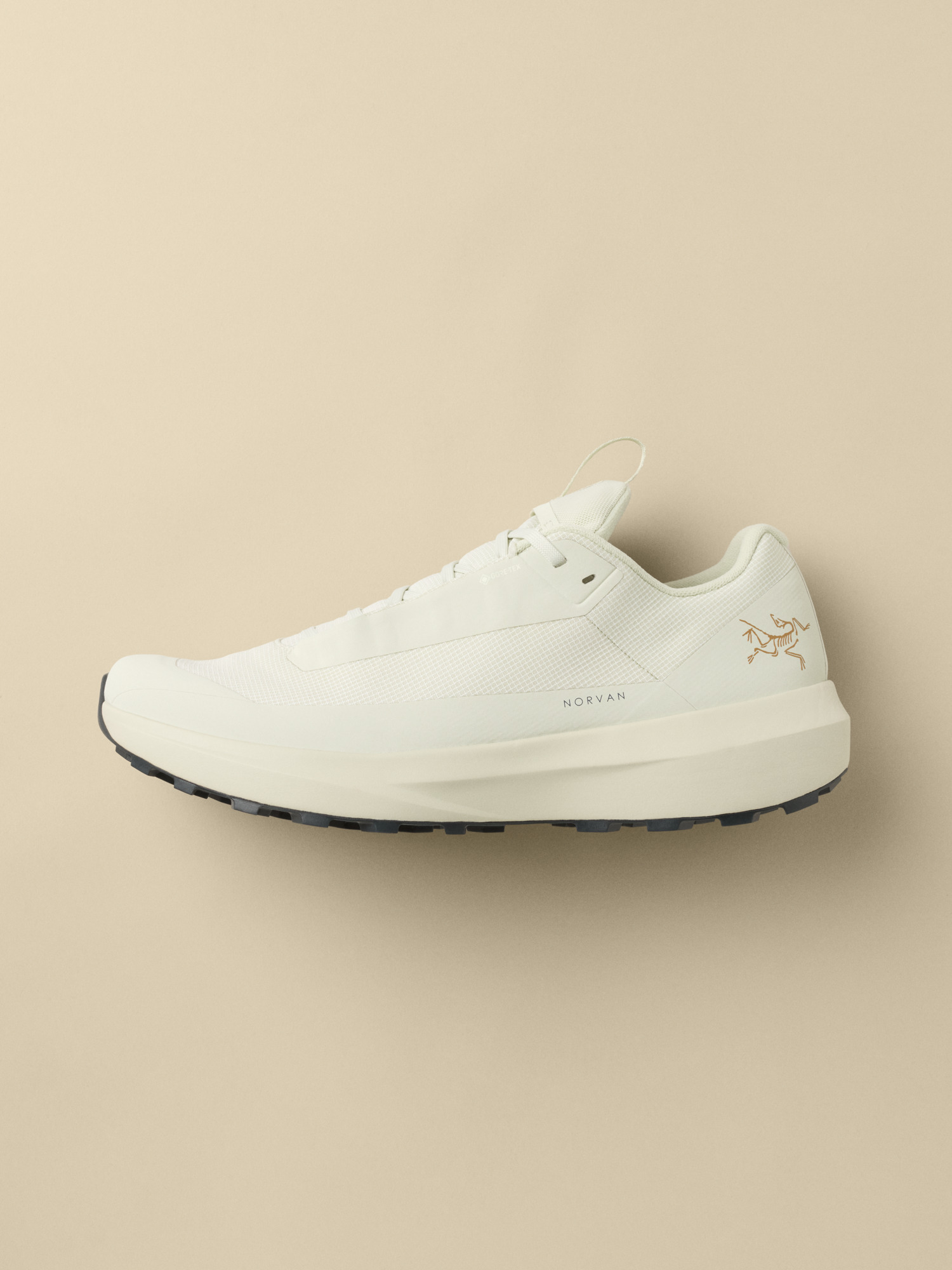 Norvan LD 4 GTX Shoe Men's