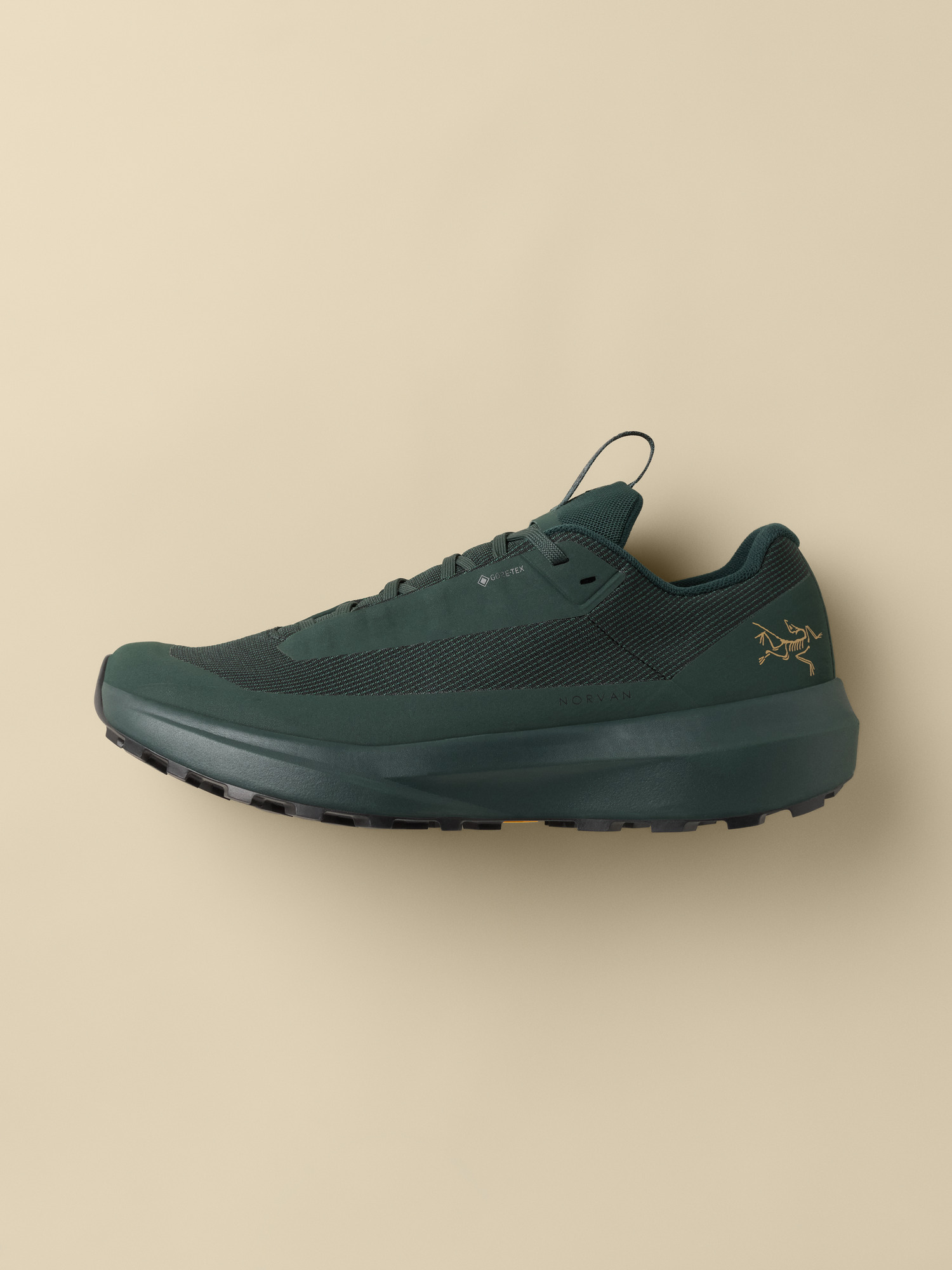 Norvan LD 4 GTX Shoe Women's | Arc'teryx United States