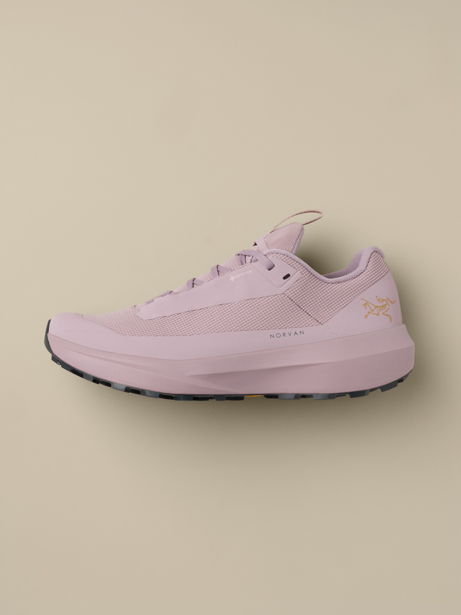 Norvan LD 4 GTX Shoe Women's | Arc'teryx United States