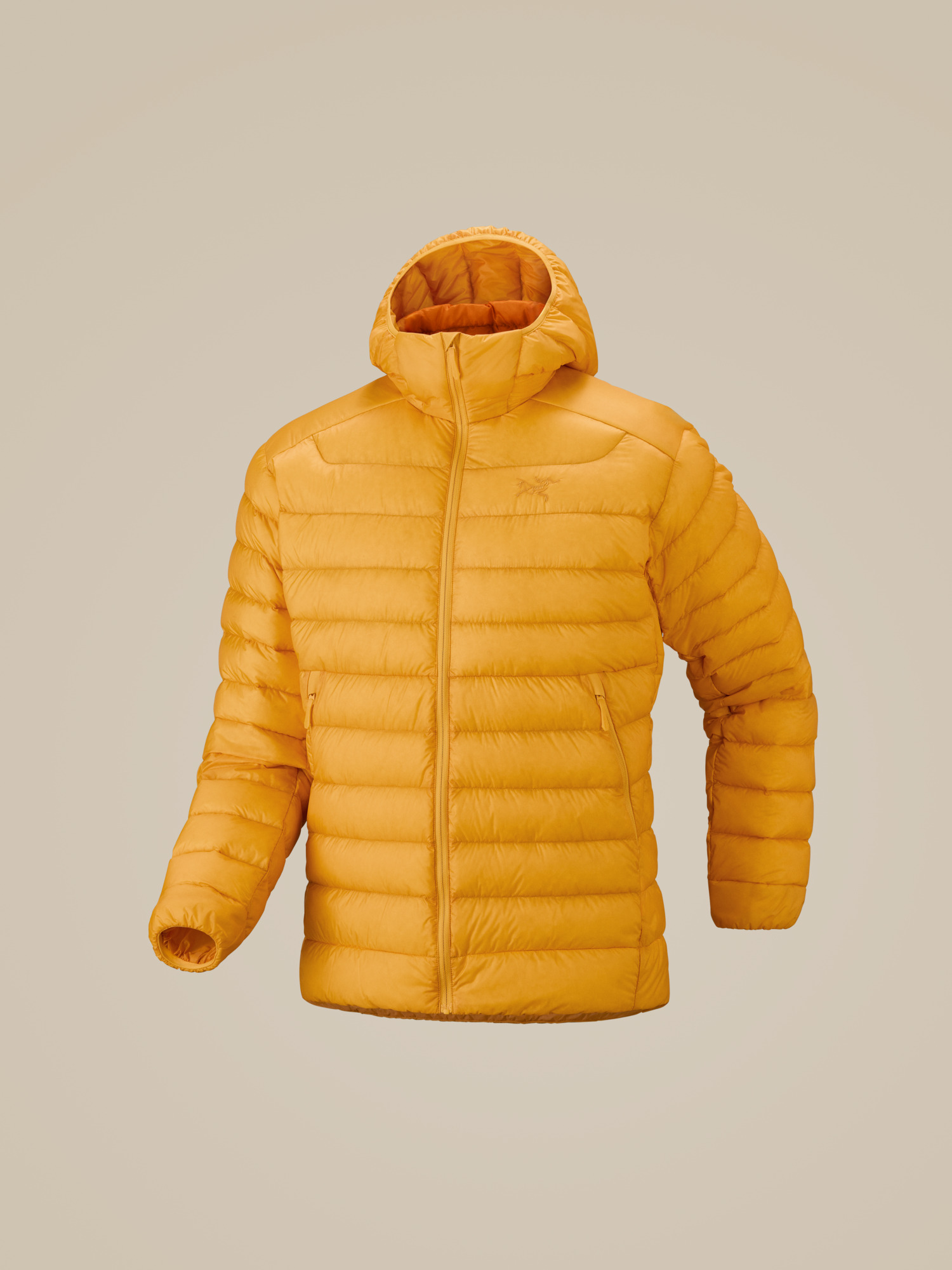 Cerium Hoody Men's
